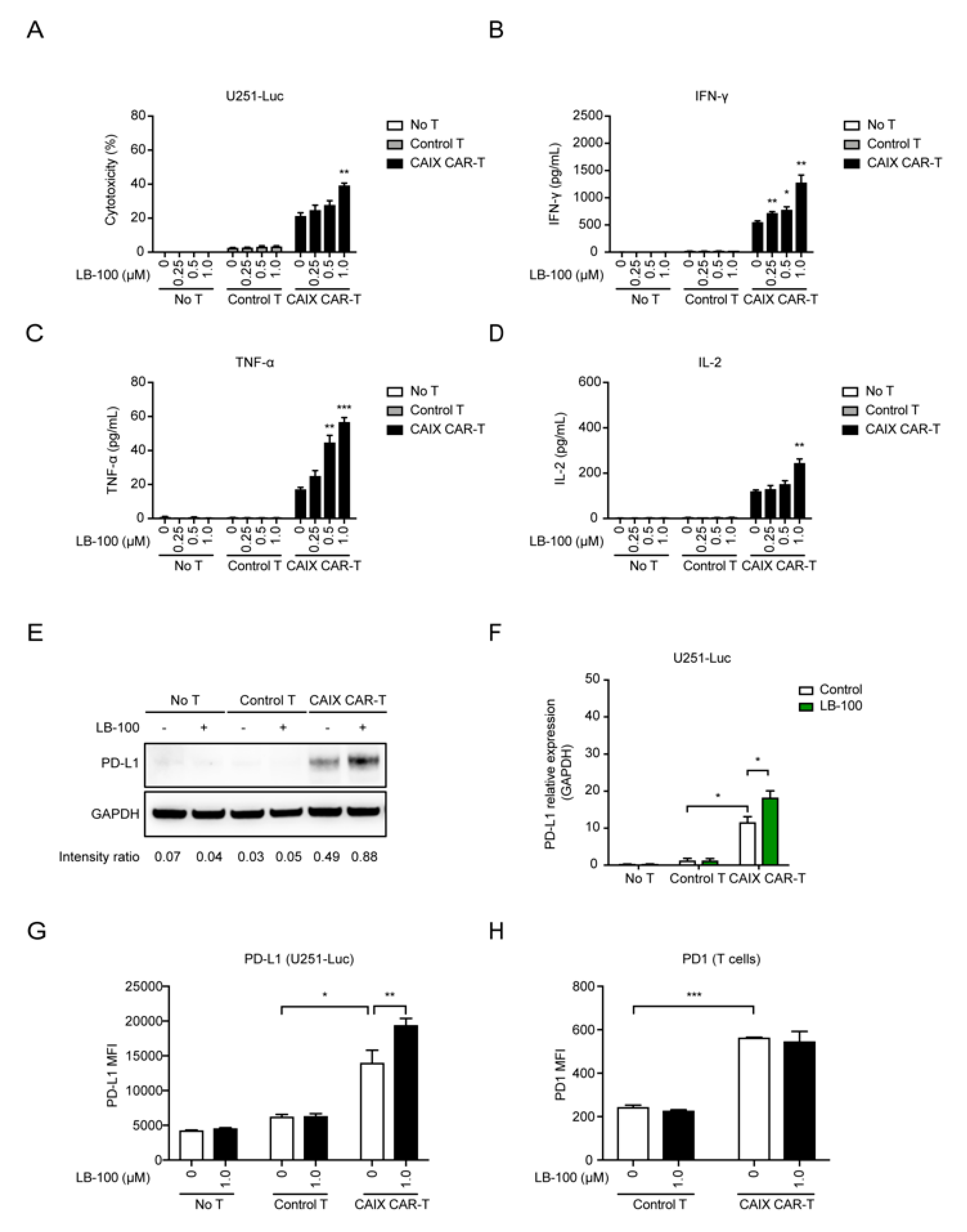 Cancers 12 00139 g001