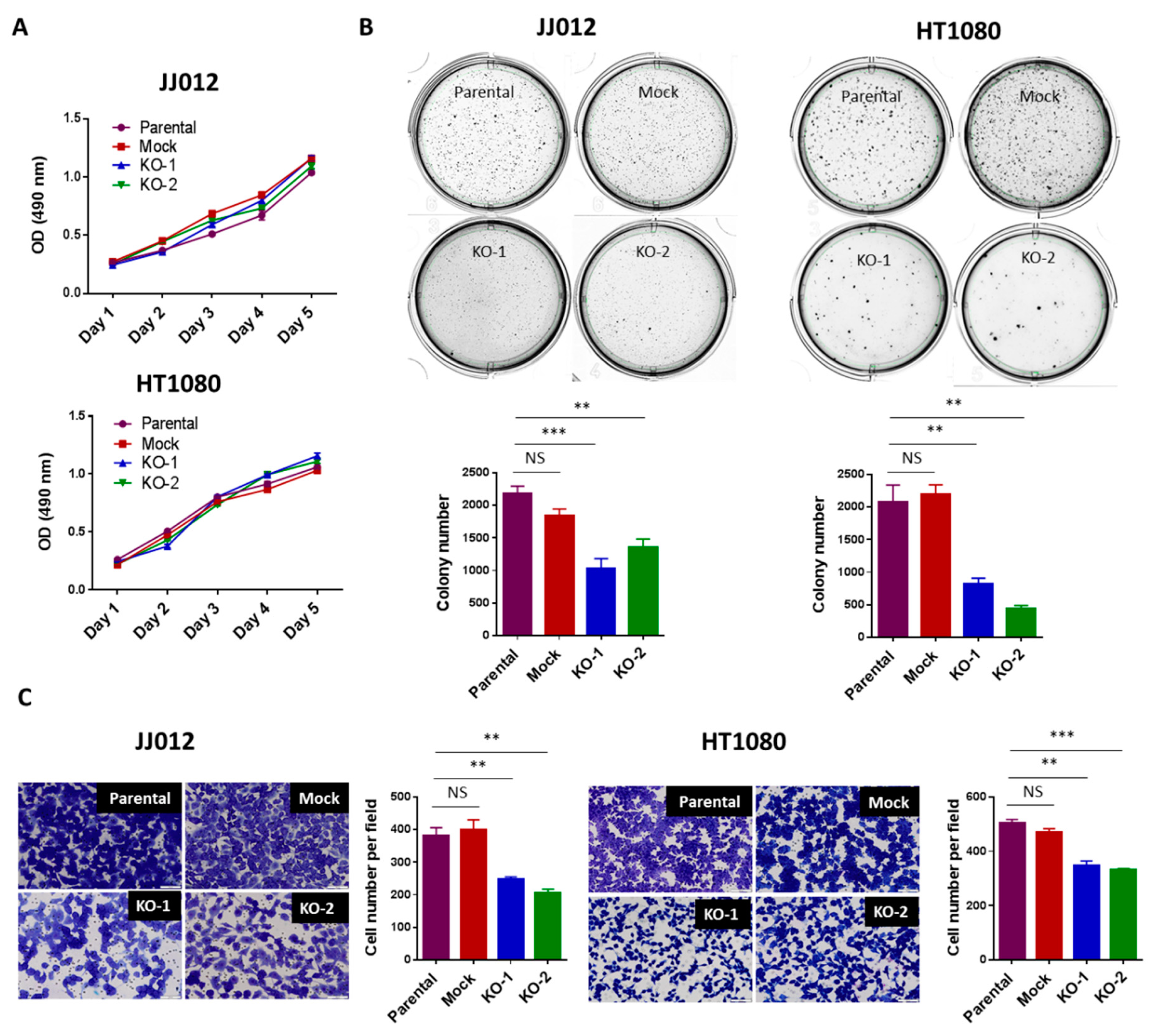 Cancers 12 00141 g002 Cancers 12 00141 g002