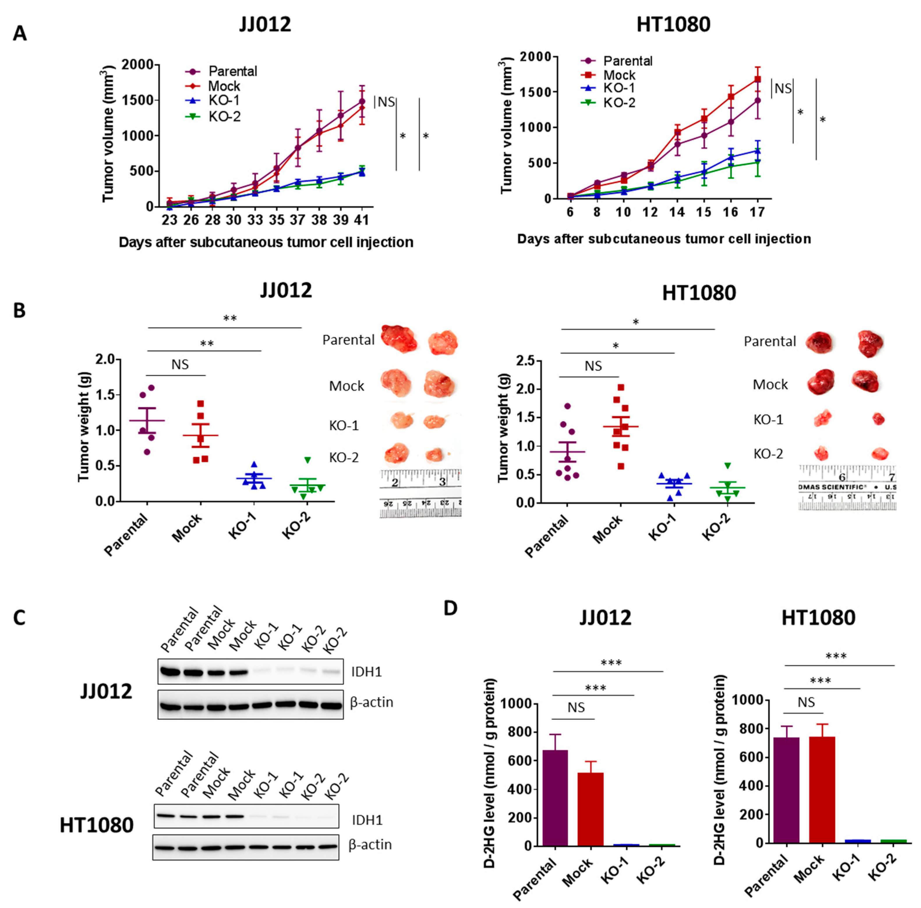 Cancers 12 00141 g004 Cancers 12 00141 g004