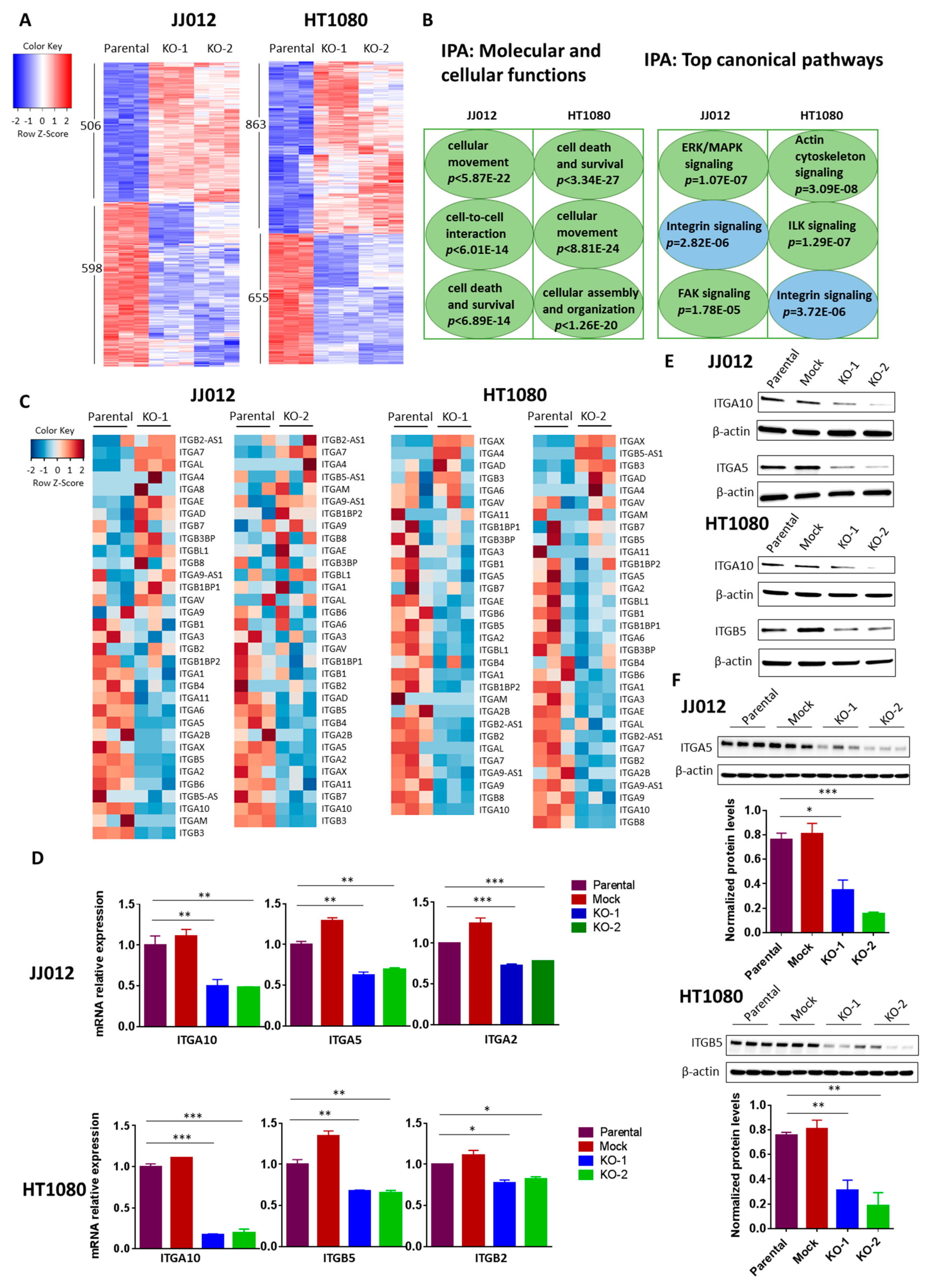 Cancers 12 00141 g005 Cancers 12 00141 g005