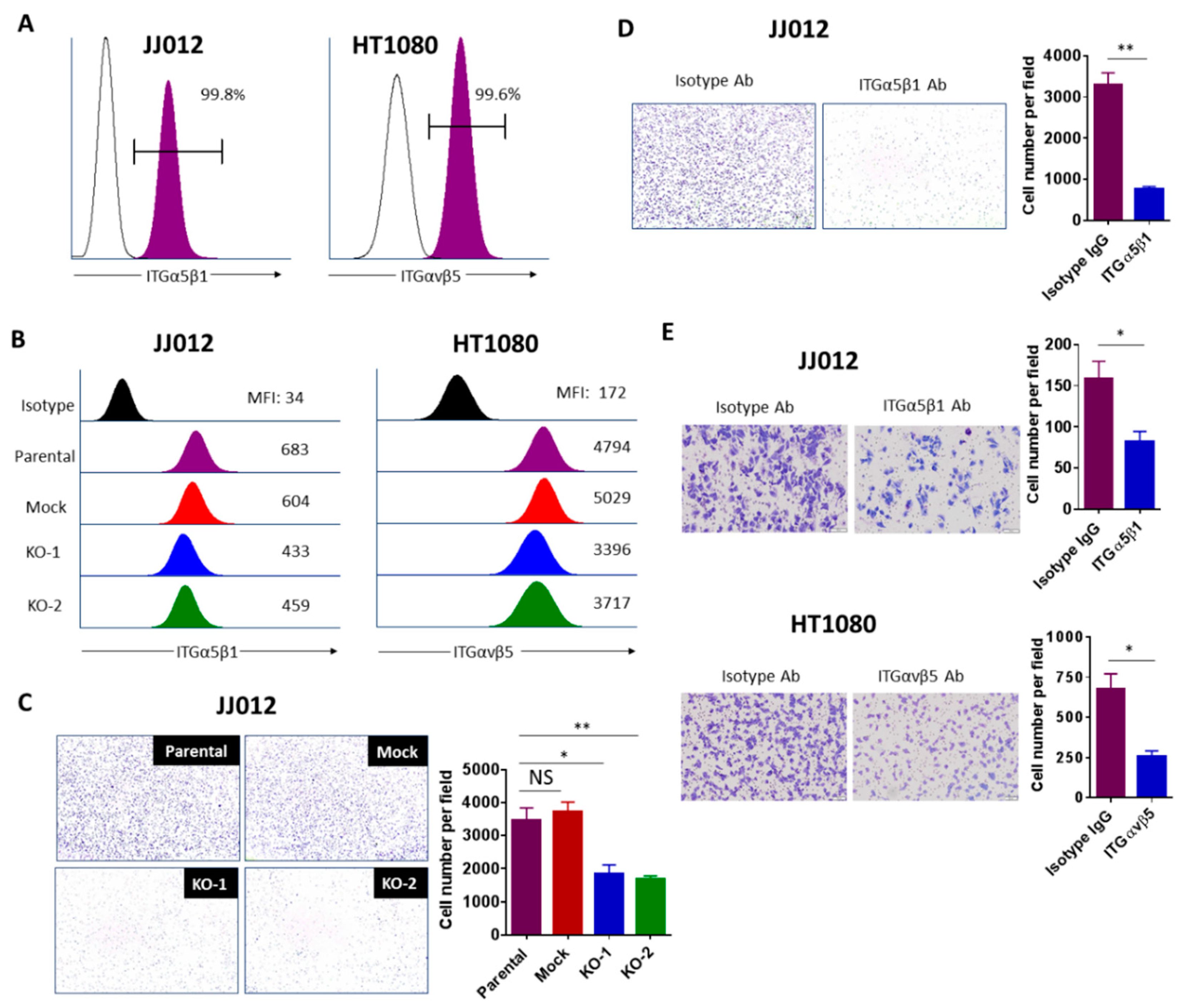 Cancers 12 00141 g006 Cancers 12 00141 g006