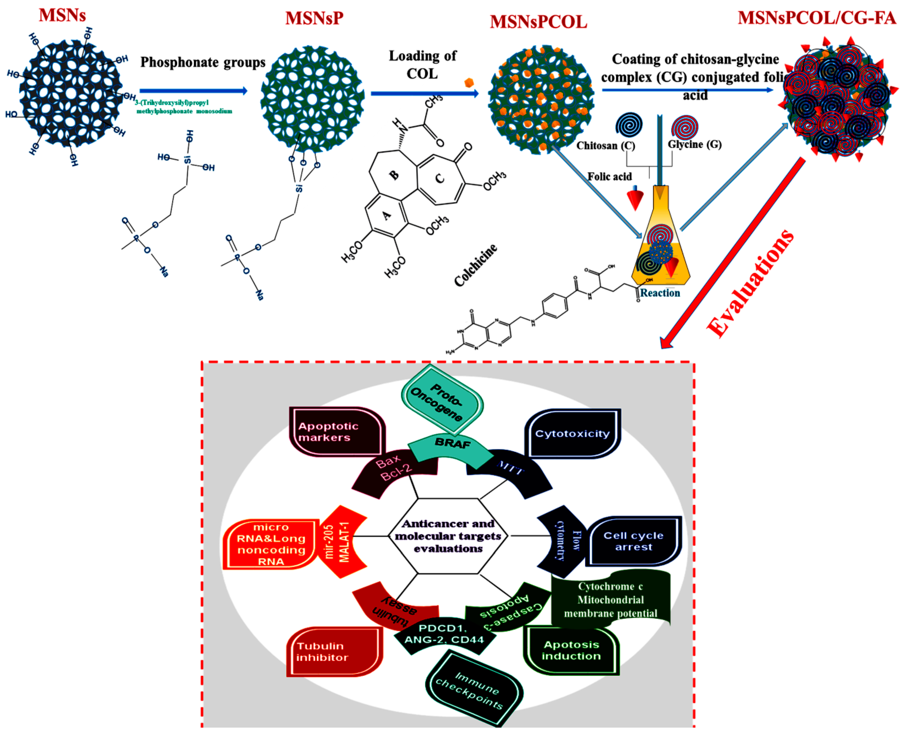 Cancers 12 00144 g001 Cancers 12 00144 g001