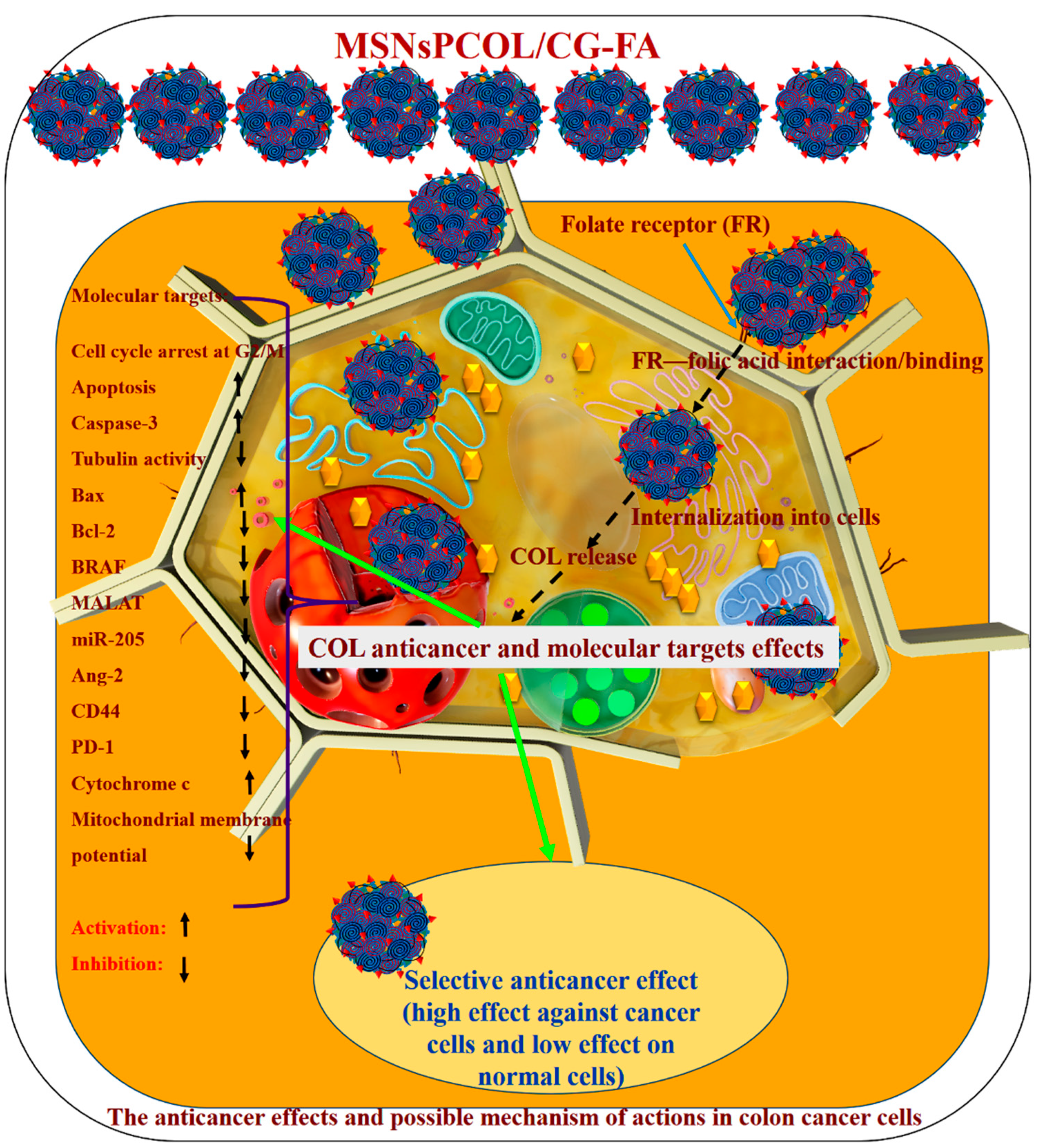 Cancers 12 00144 g012 Cancers 12 00144 g012