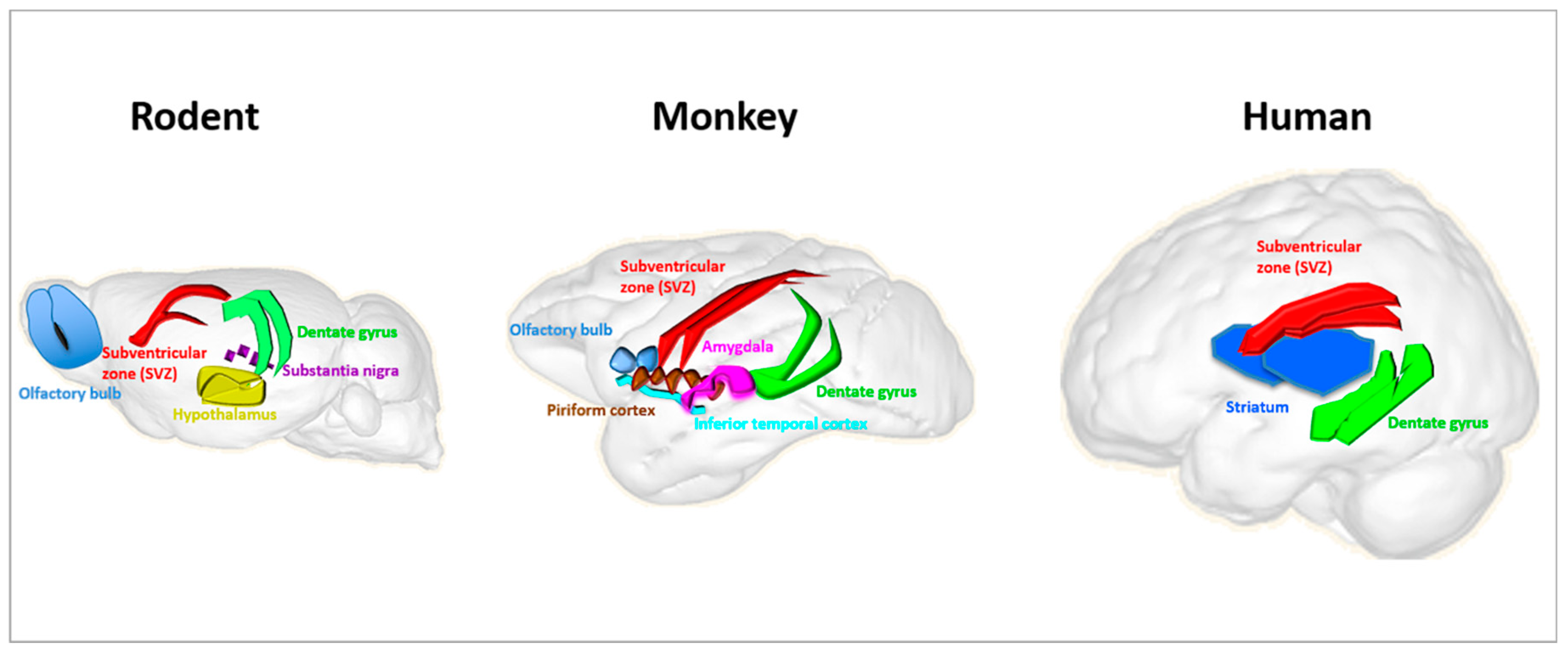Cancers 12 00146 g002 Cancers 12 00146 g002