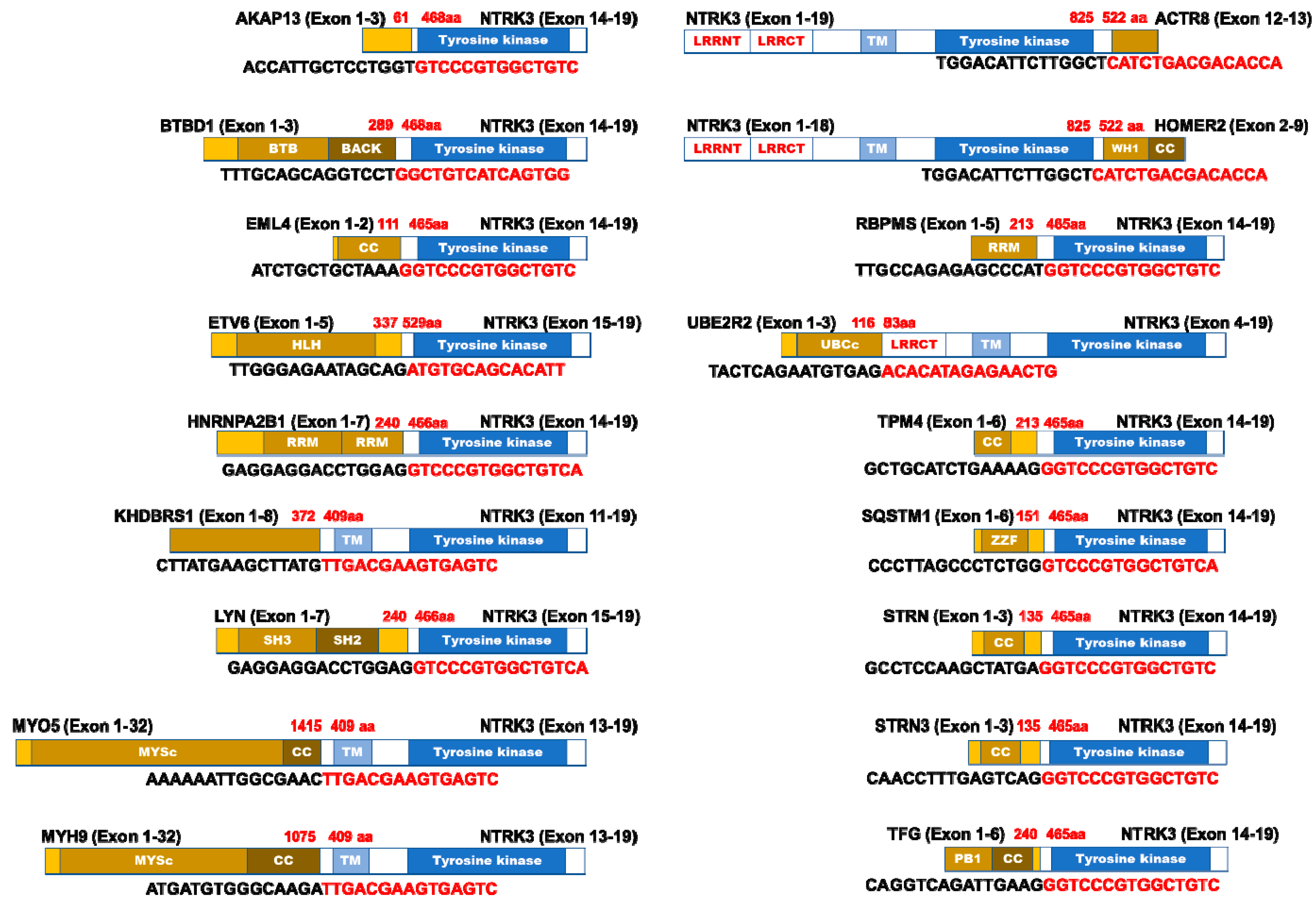 Cancers 12 00147 g002 Cancers 12 00147 g002