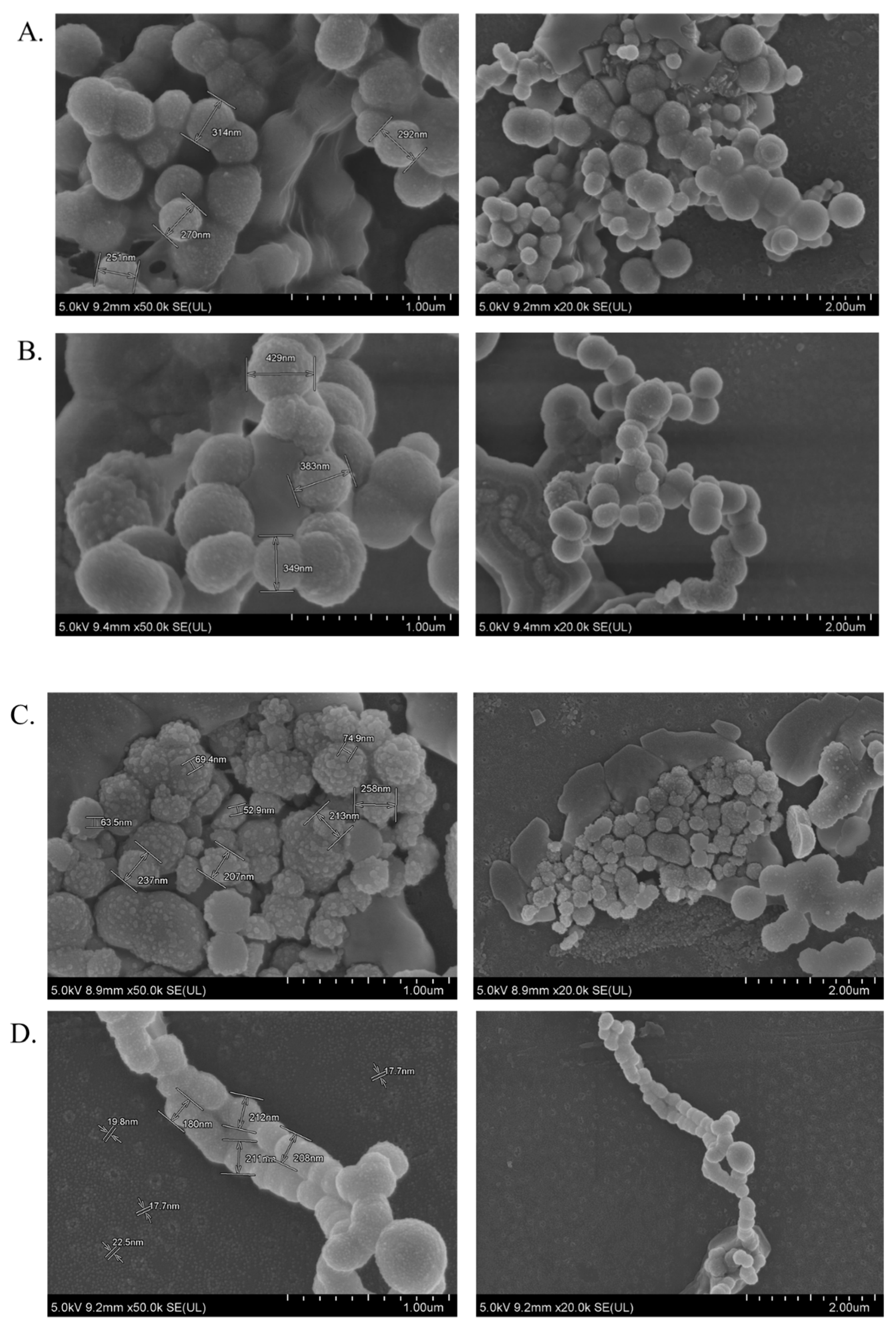 Cancers 12 00161 g009a