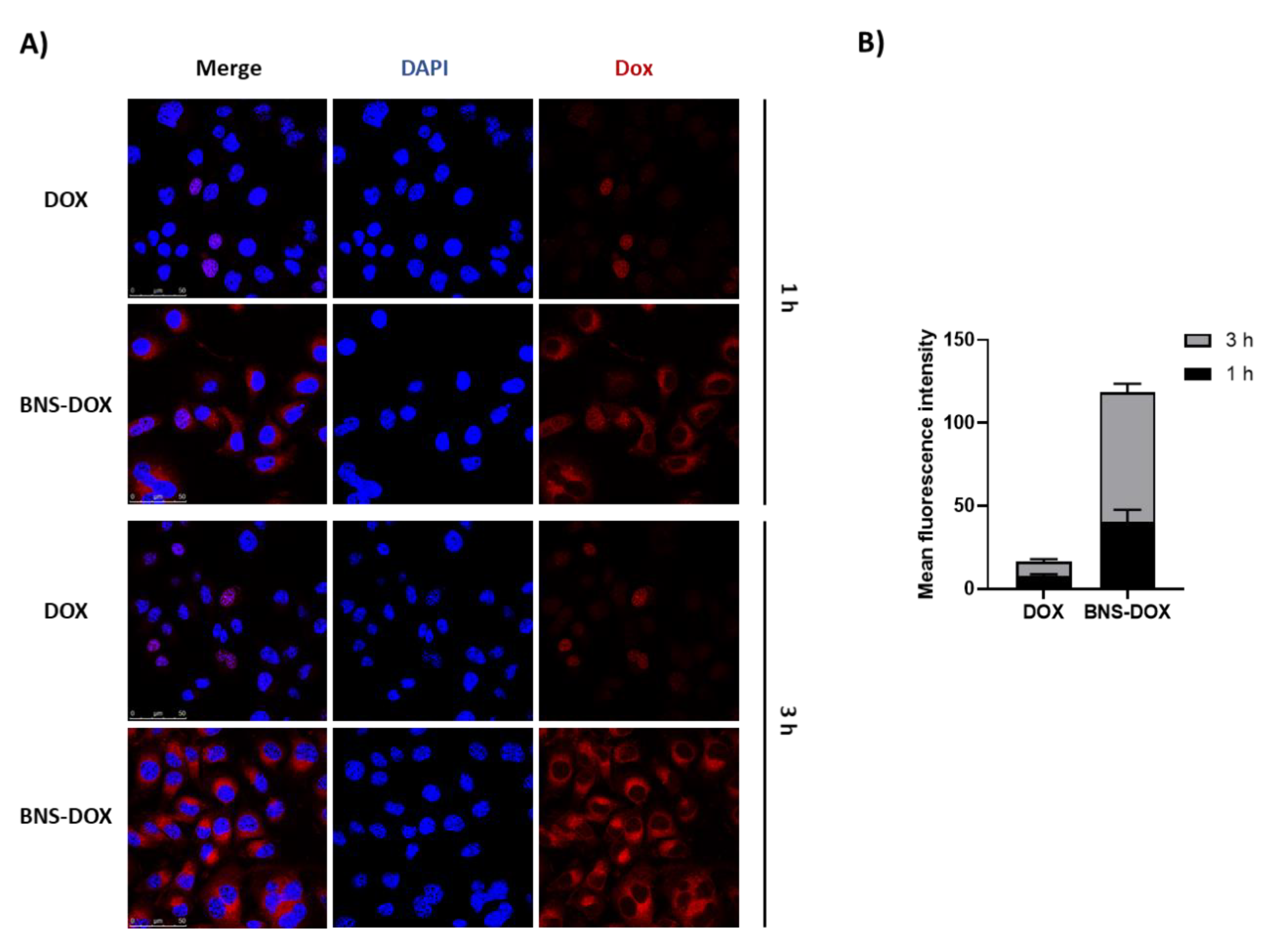 Cancers 12 00162 g007