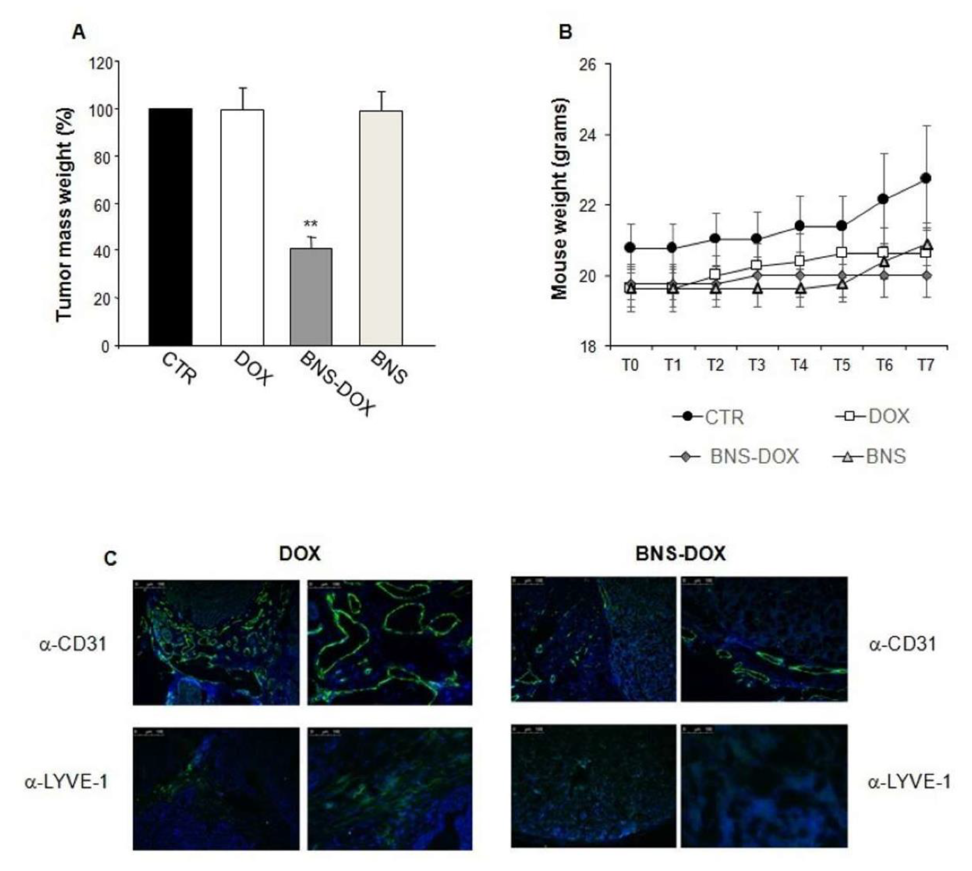 Cancers 12 00162 g008