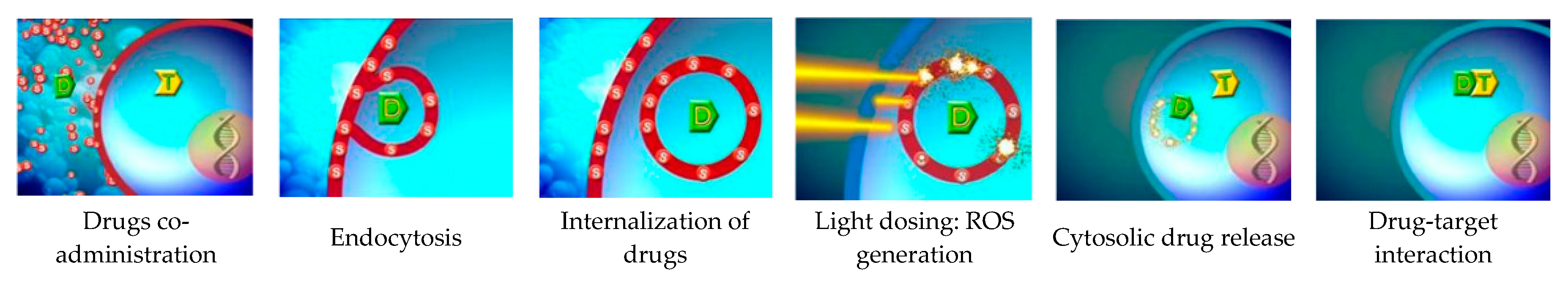 Cancers 12 00165 g001