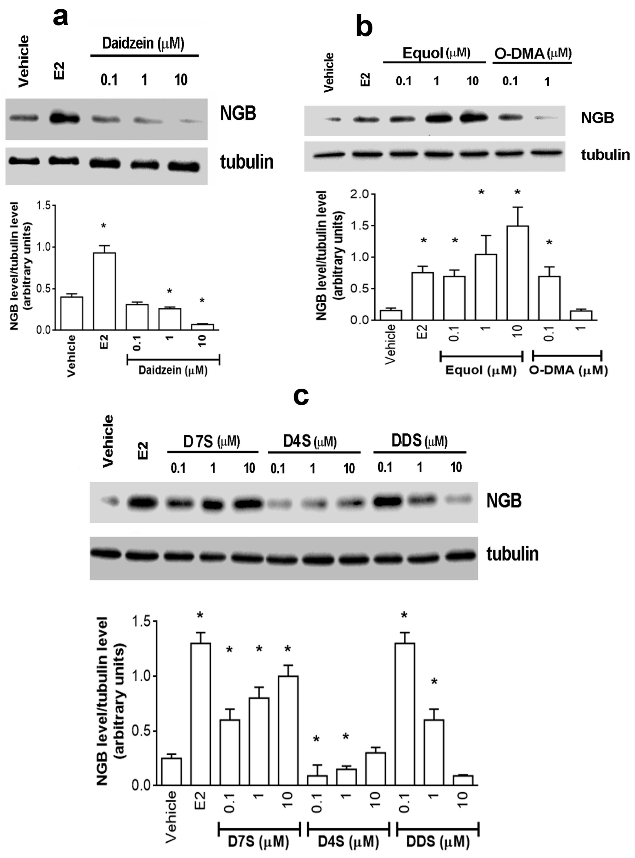 Cancers Free Full Text Divergent Effects Of Daidzein And Its Metabolites On Estrogen Induced Survival Of Breast Cancer Cells