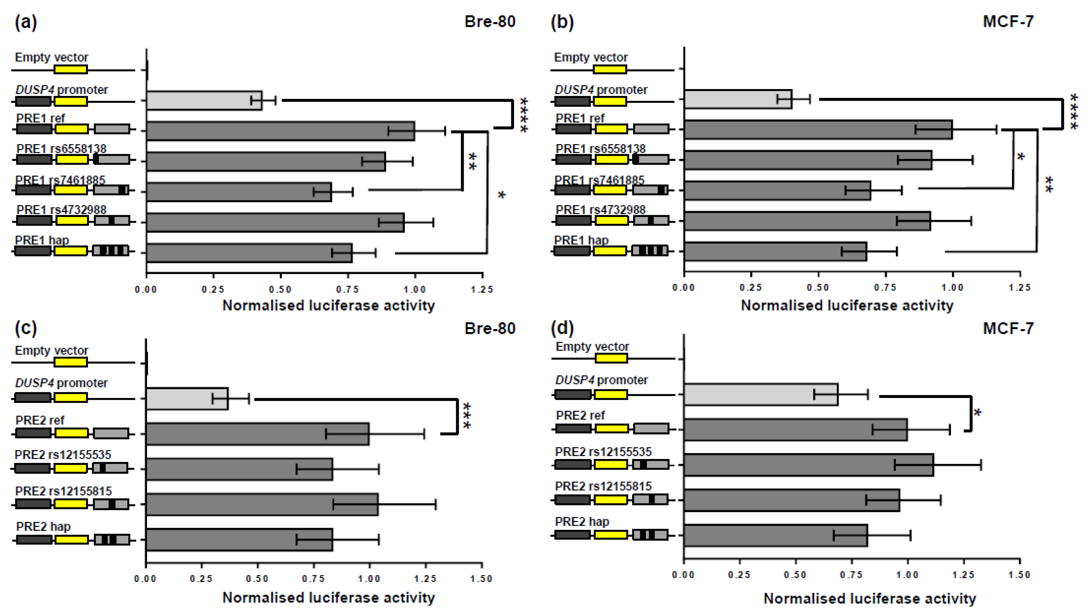 Cancers 12 00170 g002 Cancers 12 00170 g002