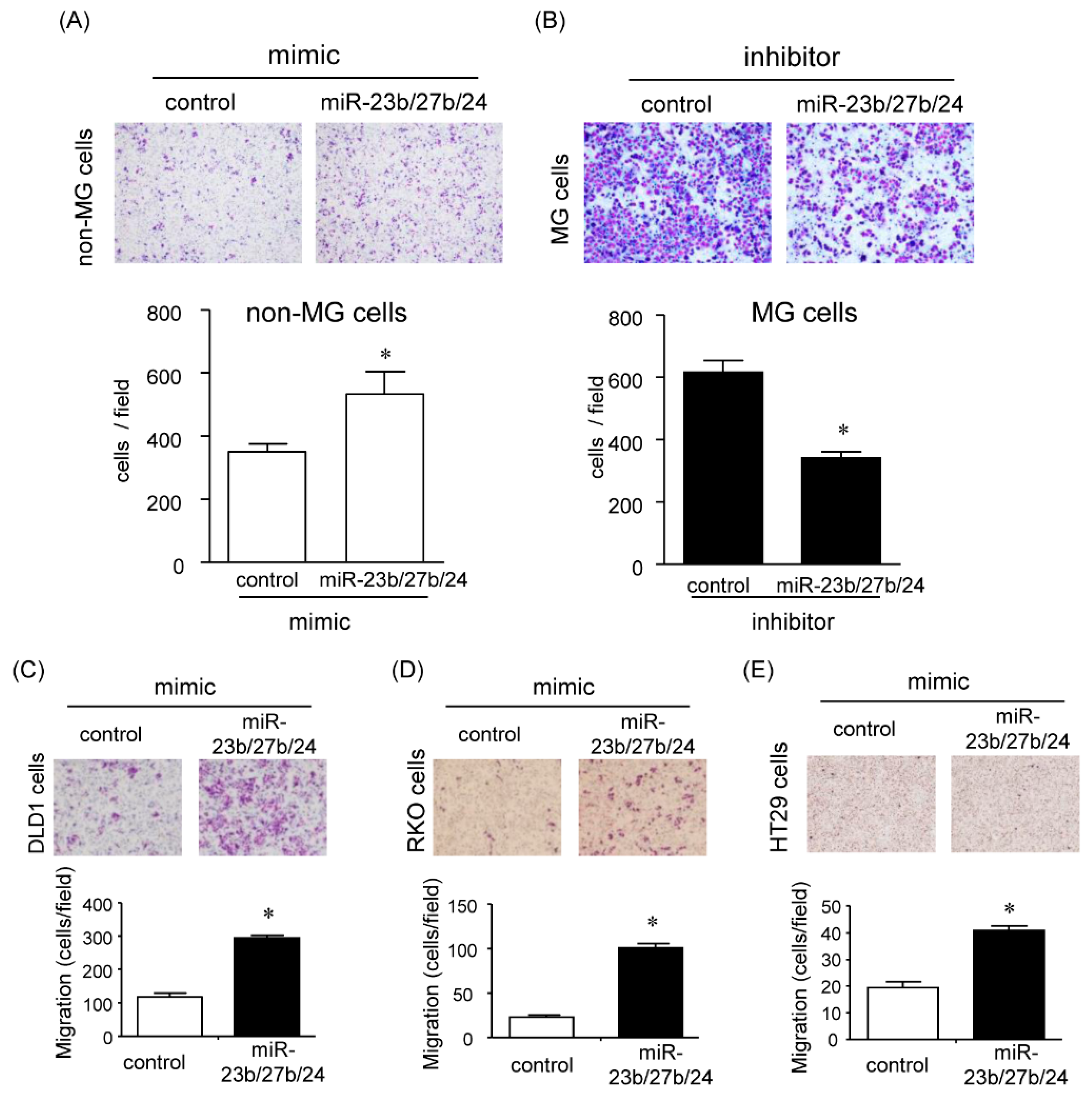 Cancers 12 00174 g004