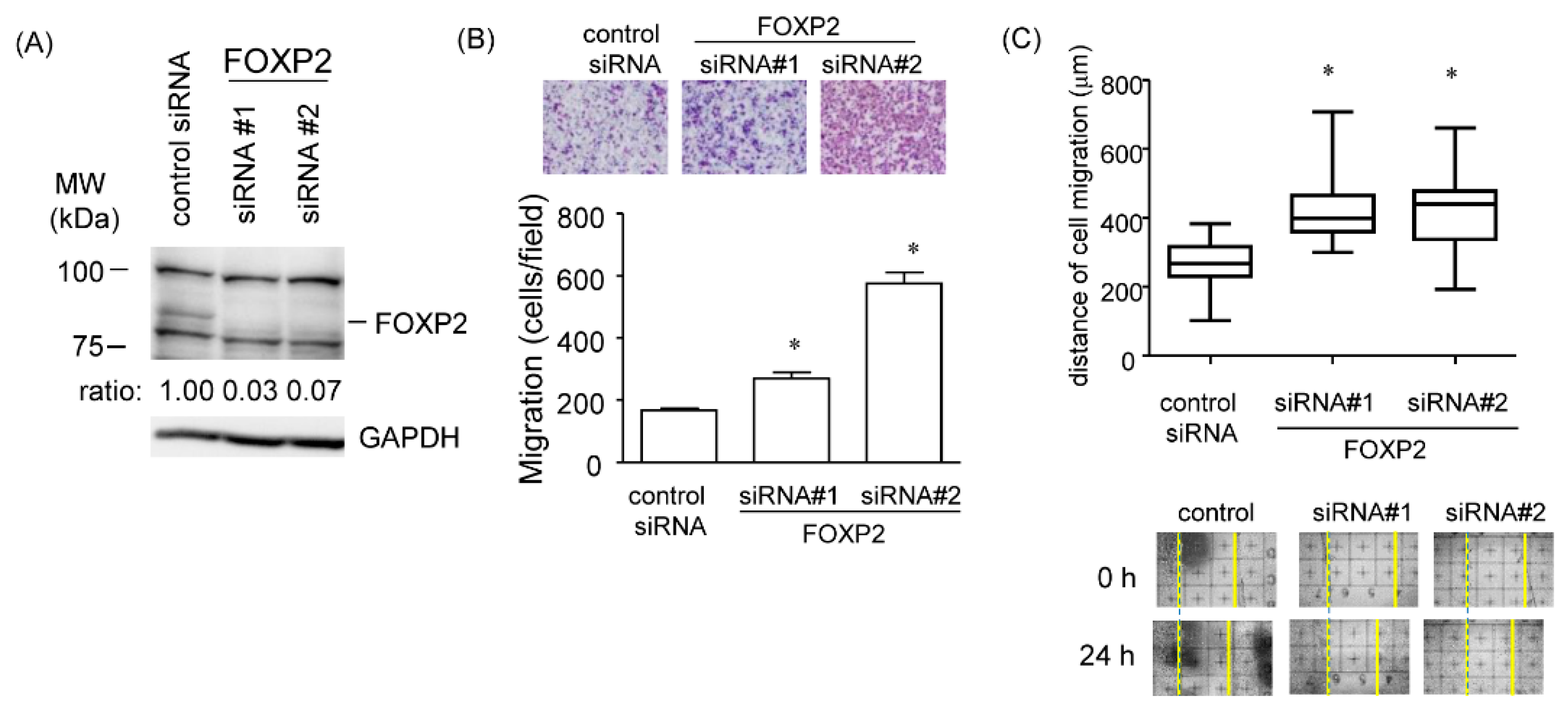 Cancers 12 00174 g008