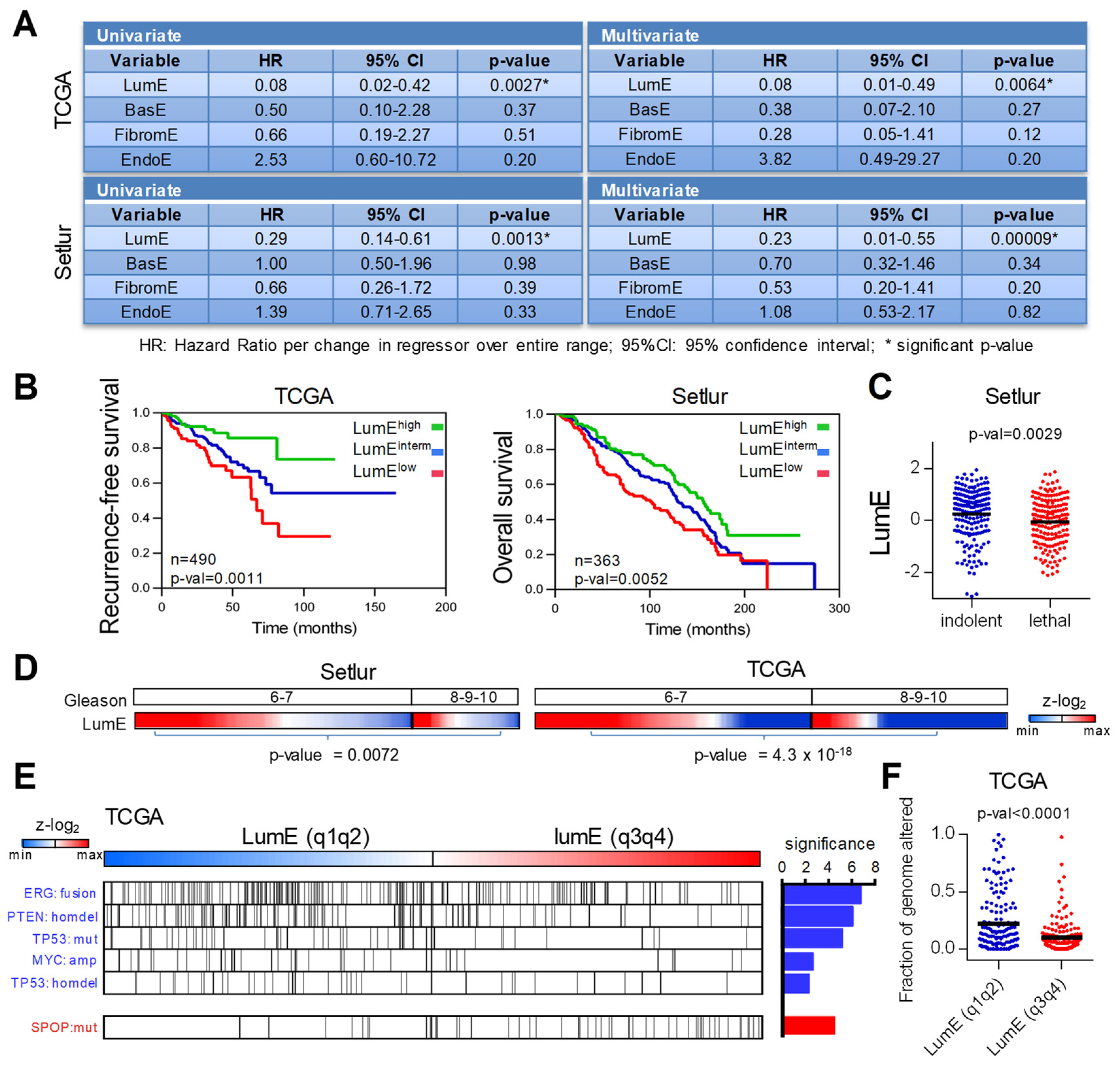 Cancers 12 00176 g002 Cancers 12 00176 g002