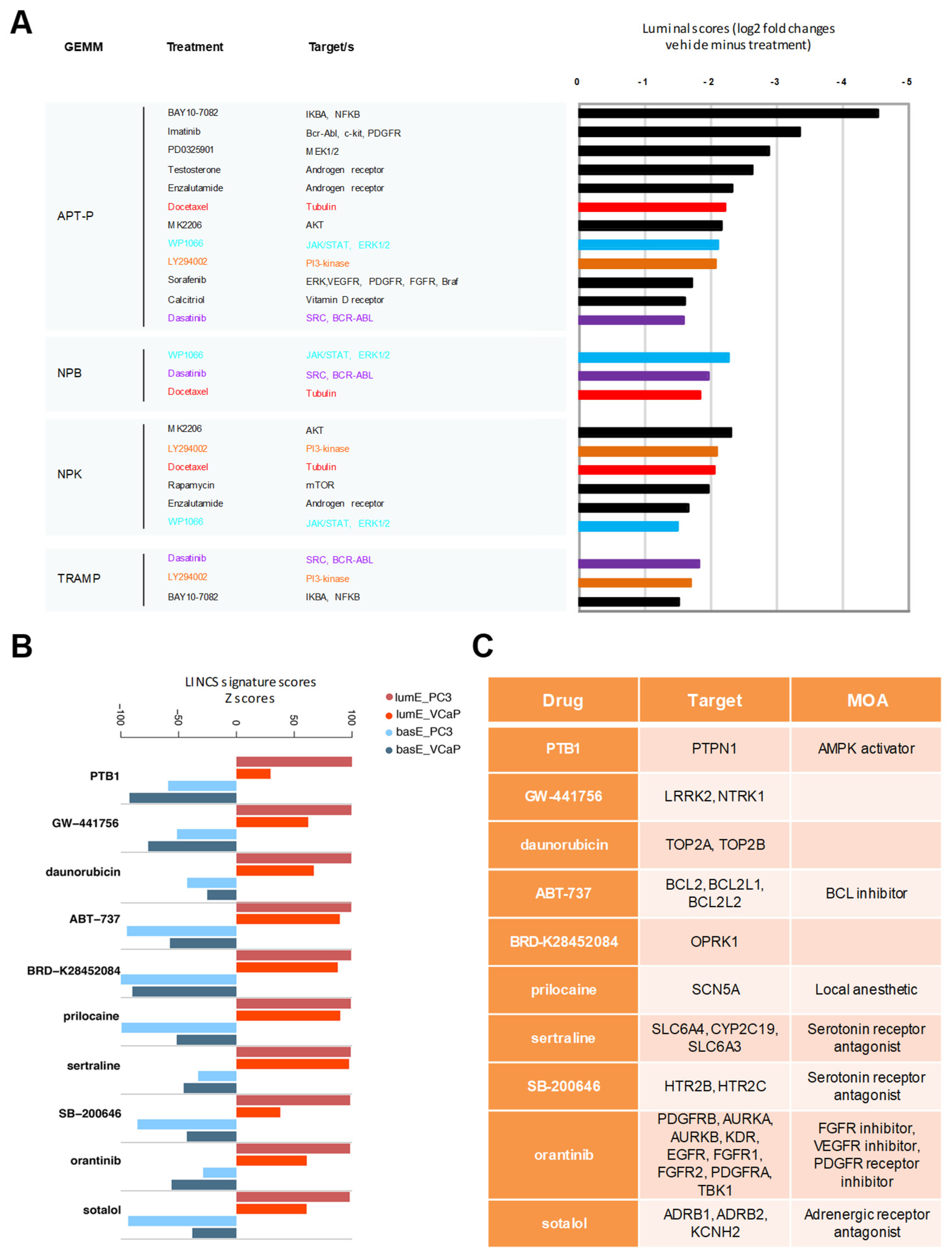 Cancers 12 00176 g008 Cancers 12 00176 g008