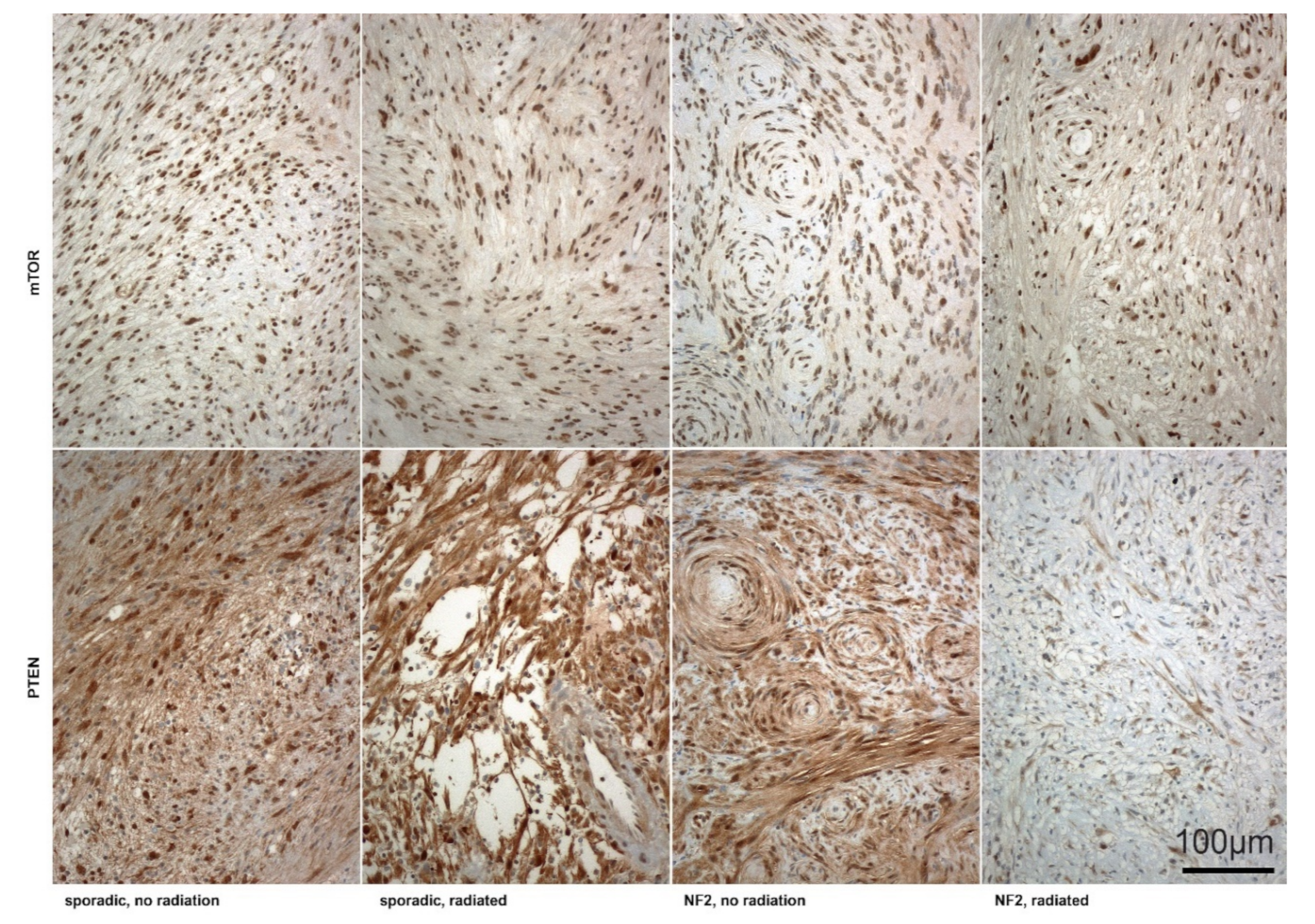 Cancers 12 00177 g004 Cancers 12 00177 g004