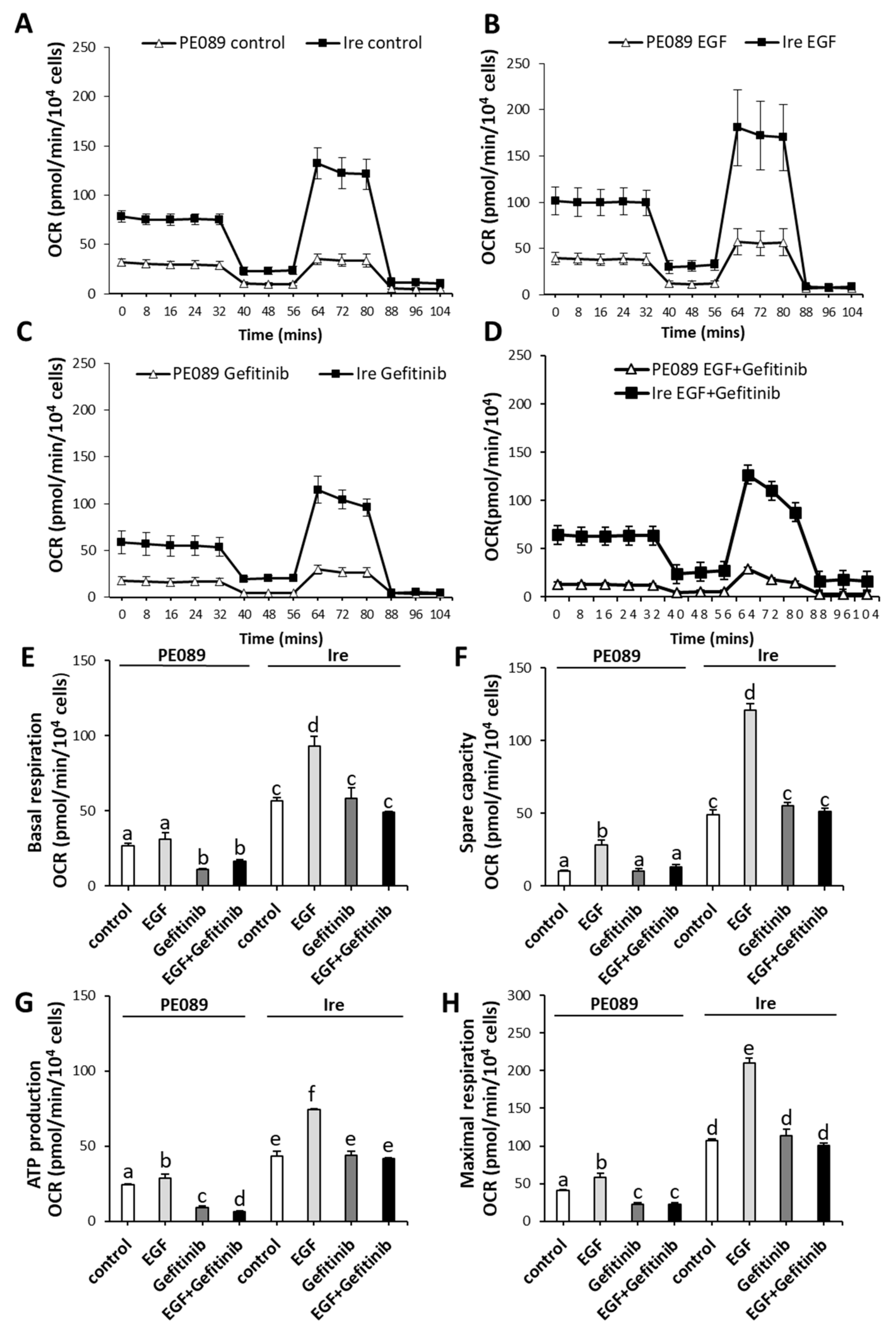 Cancers 12 00181 g003
