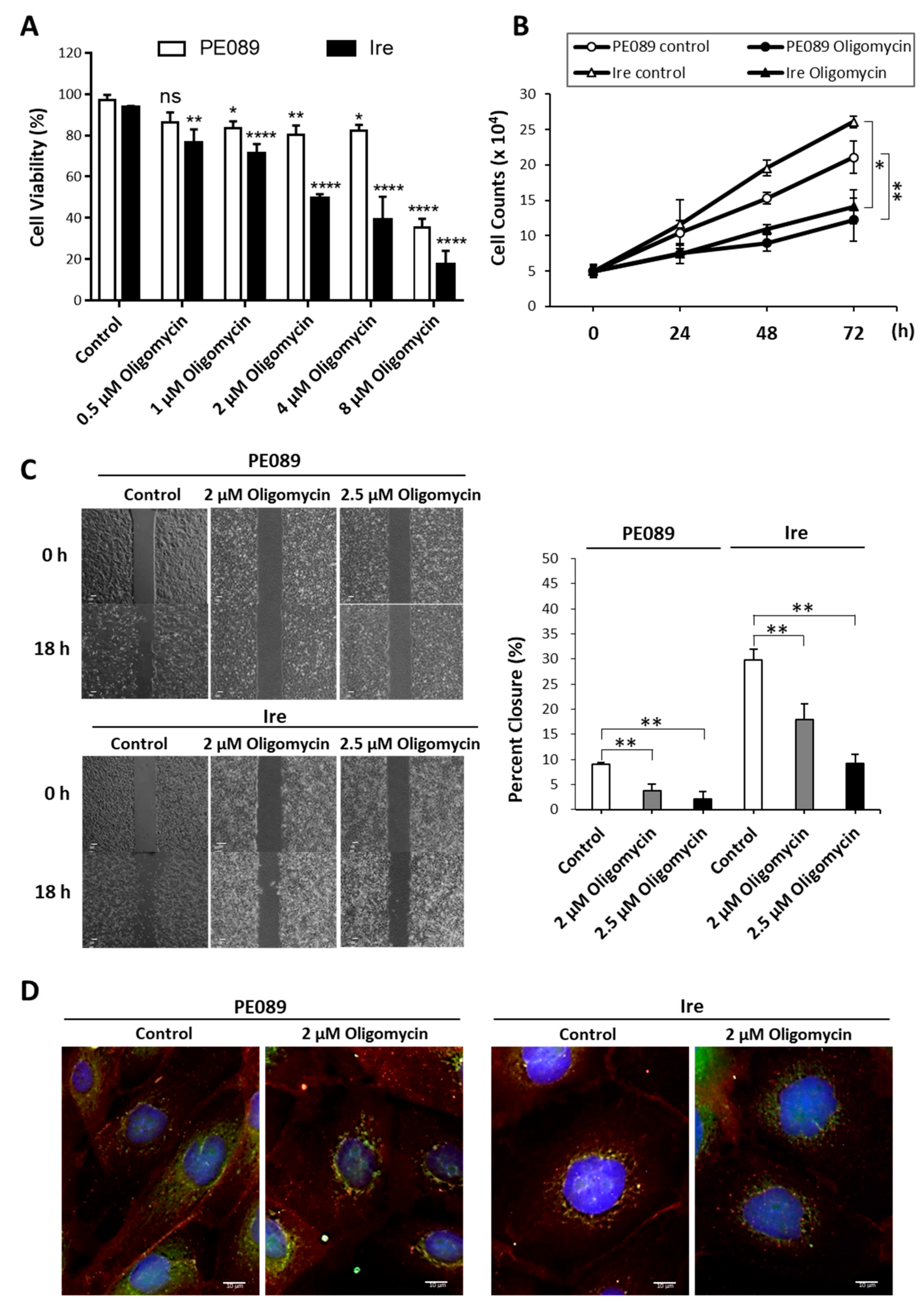 Cancers 12 00181 g005