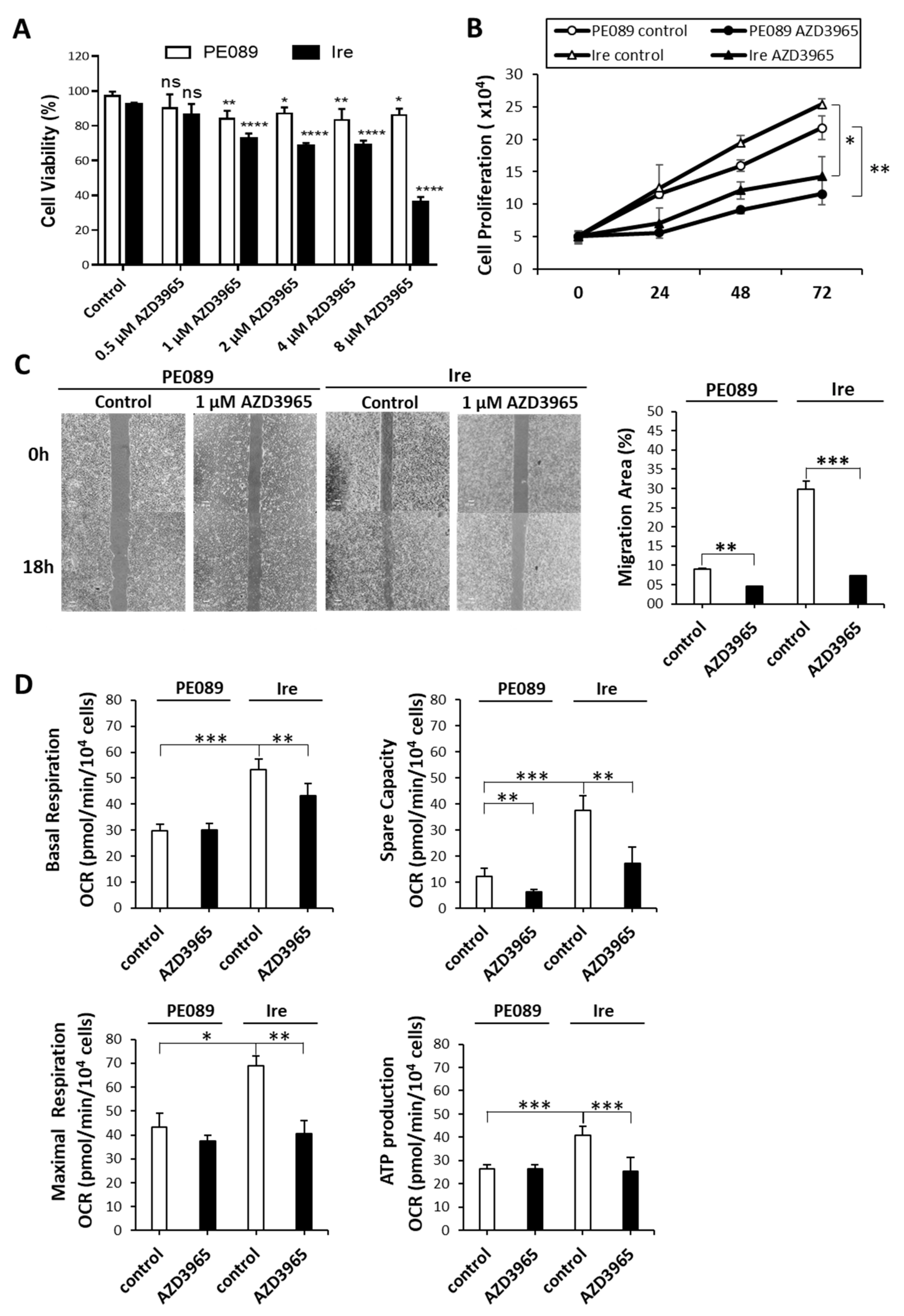 Cancers 12 00181 g007