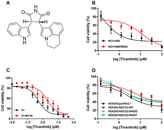 Tivantinib, A c-Met Inhibitor in Clinical Trials, Is Susceptible