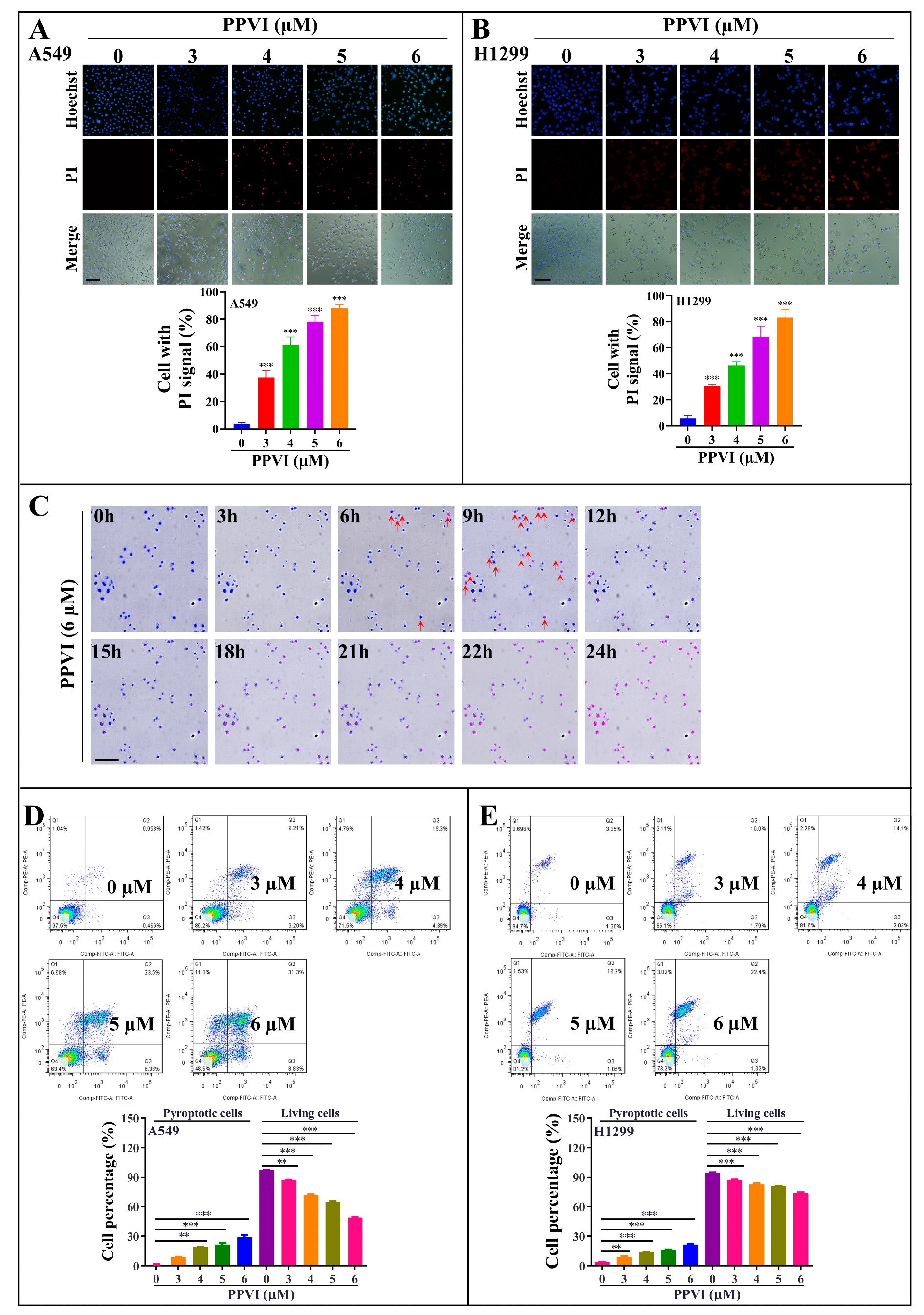 Cancers 12 00193 g002 Cancers 12 00193 g002
