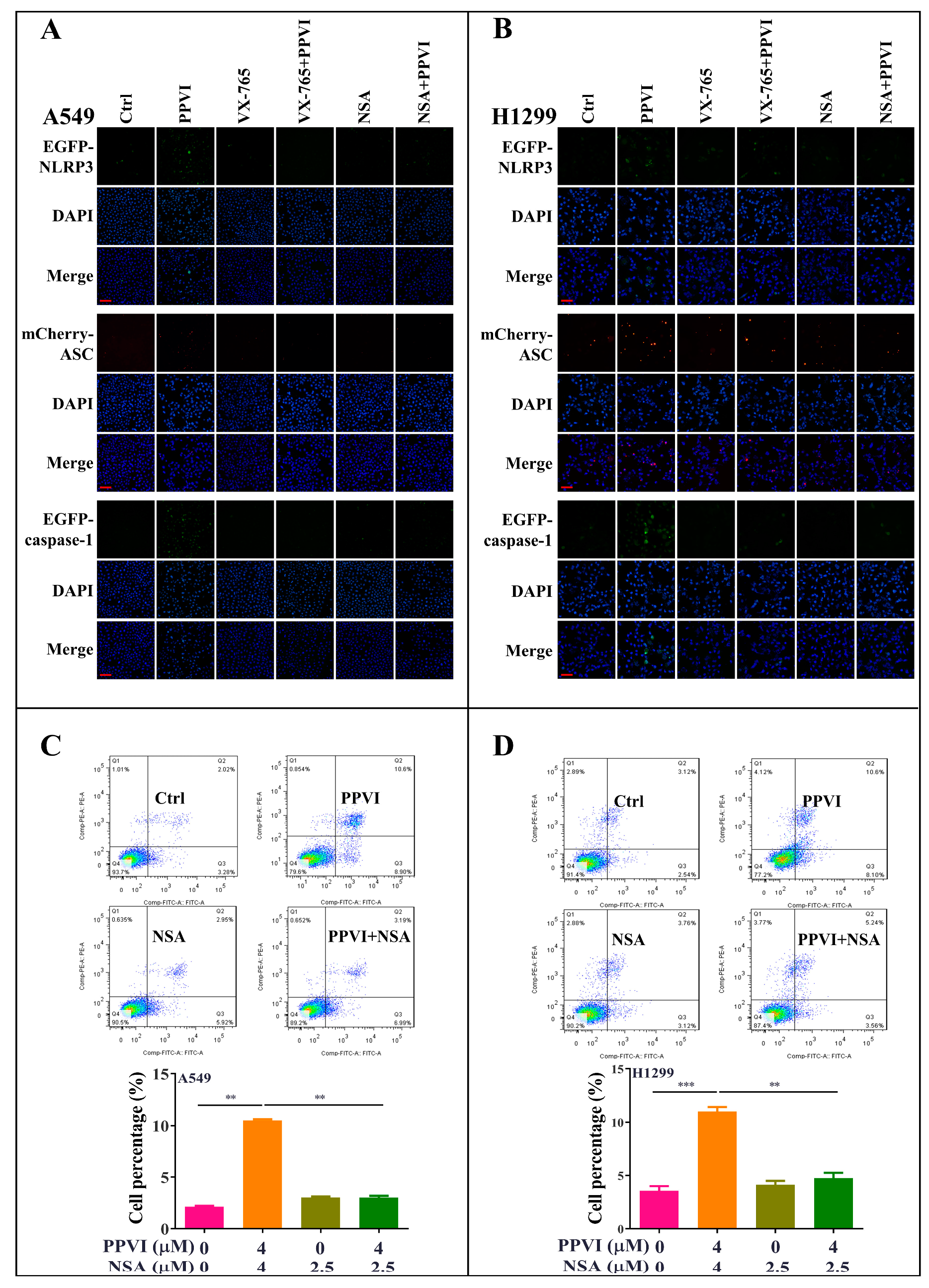 Cancers 12 00193 g006 Cancers 12 00193 g006