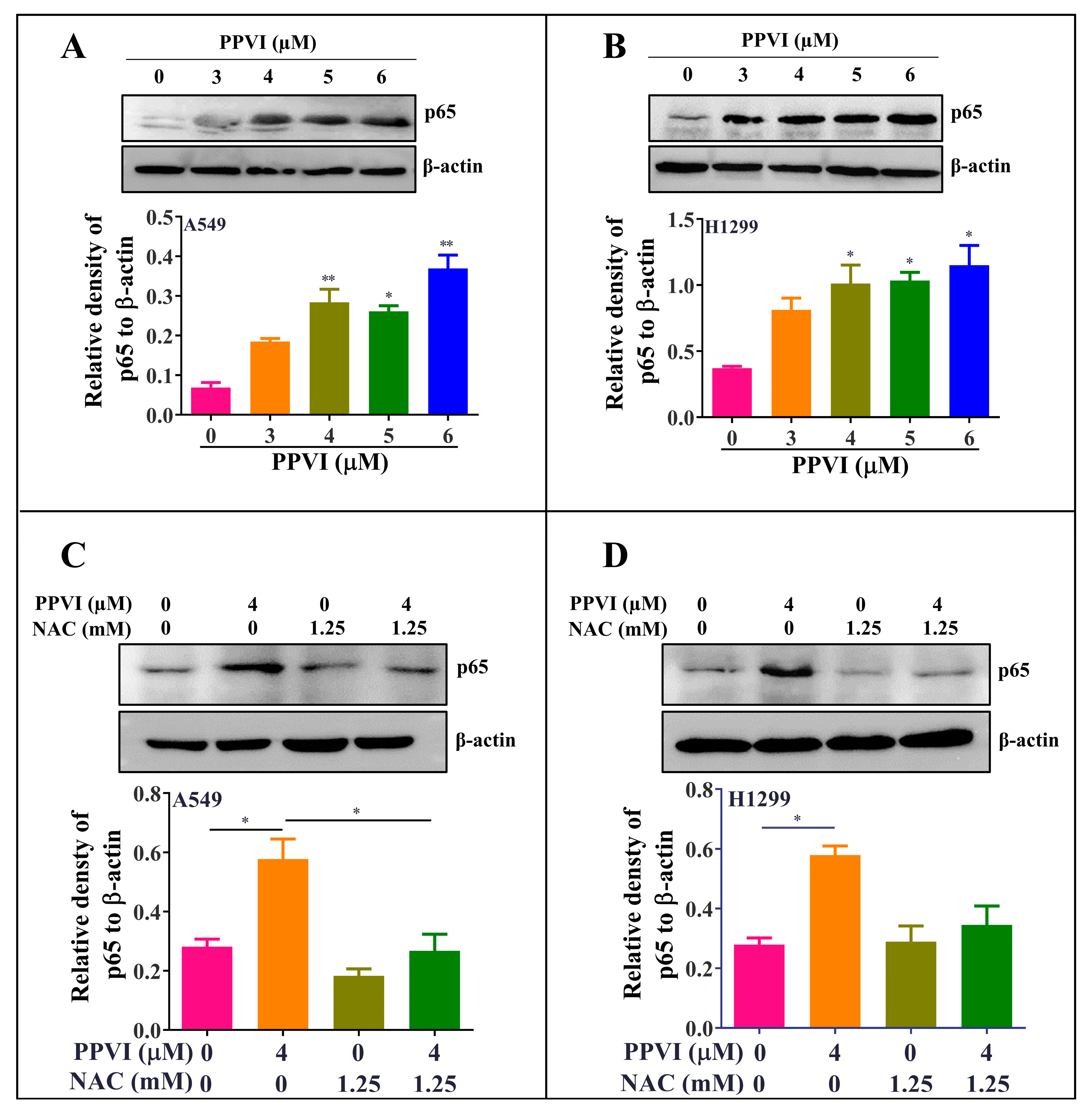 Cancers 12 00193 g008 Cancers 12 00193 g008