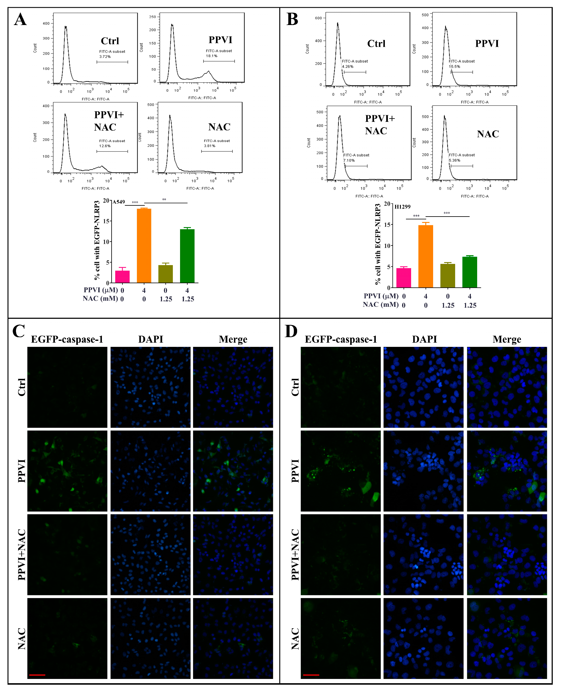 Cancers 12 00193 g009 Cancers 12 00193 g009