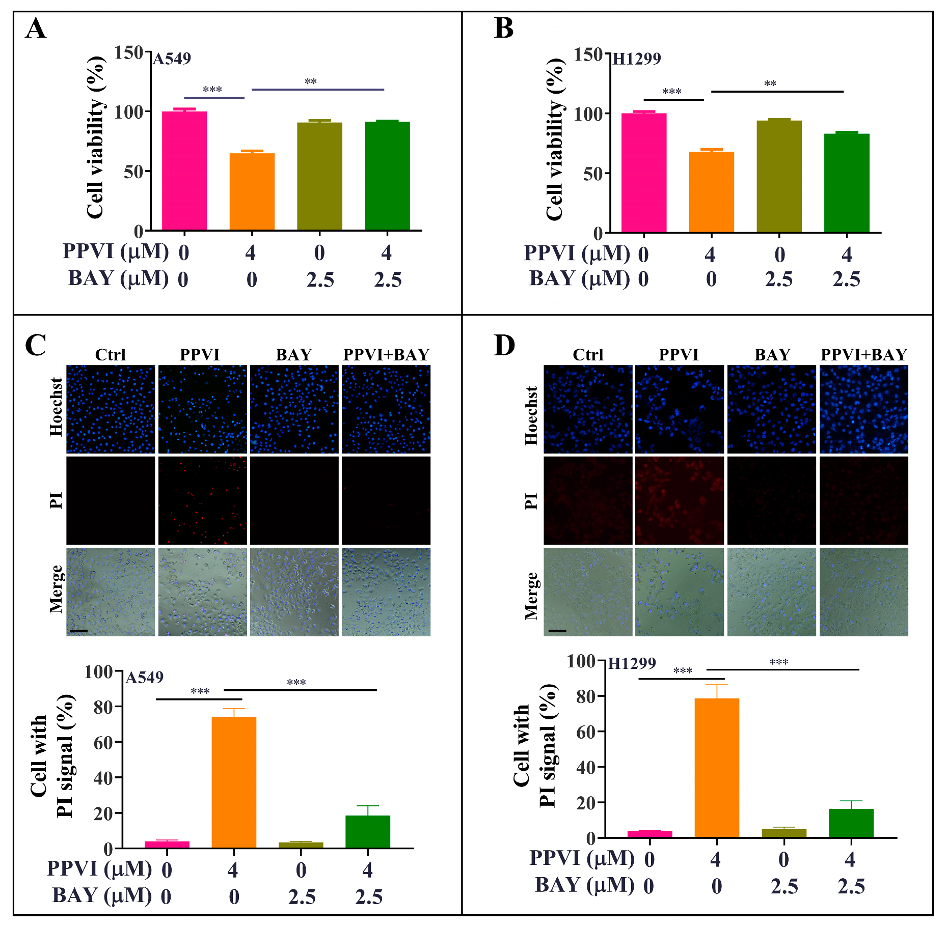 Cancers 12 00193 g010 Cancers 12 00193 g010