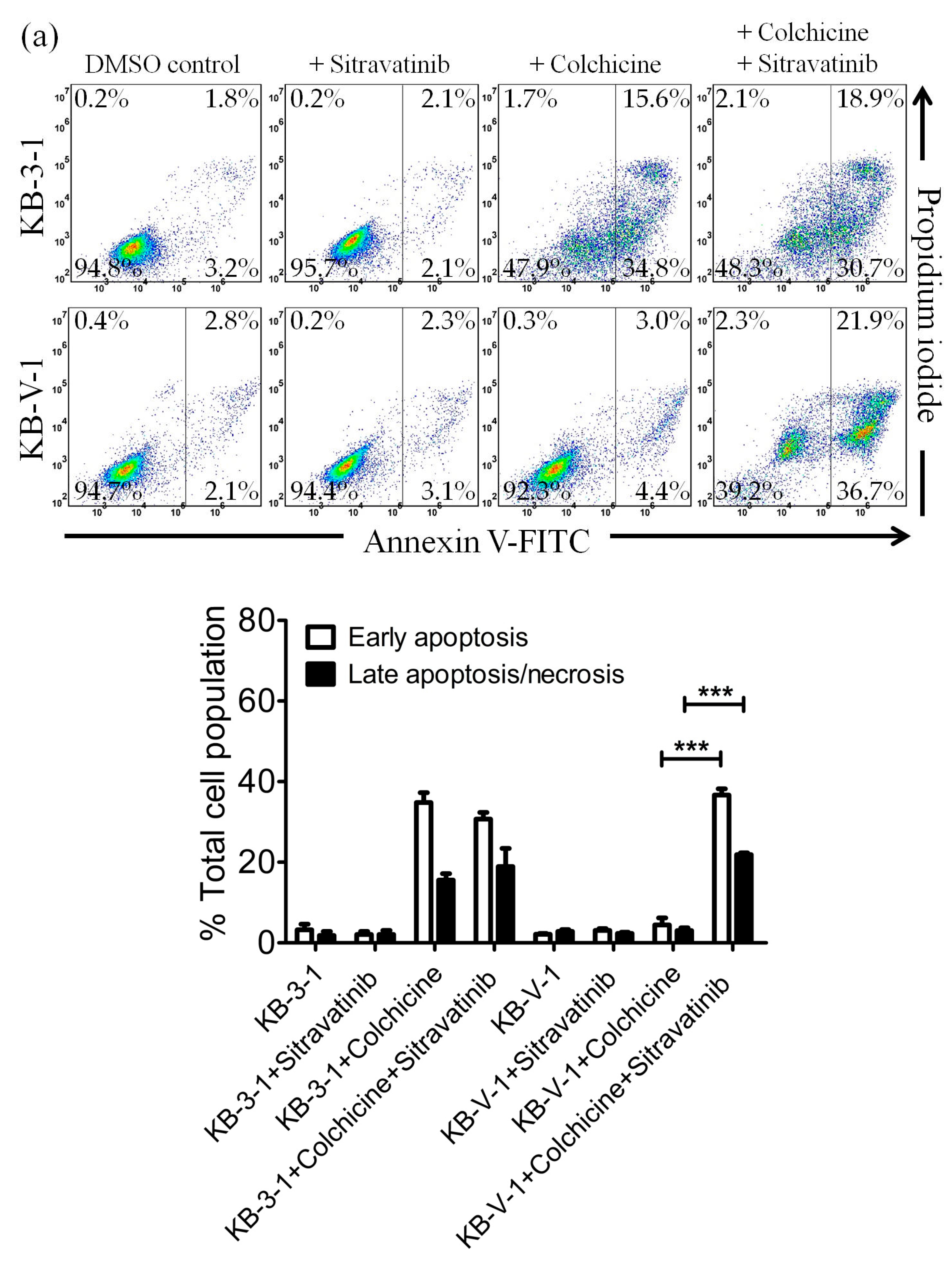 Cancers 12 00195 g003a Cancers 12 00195 g003a