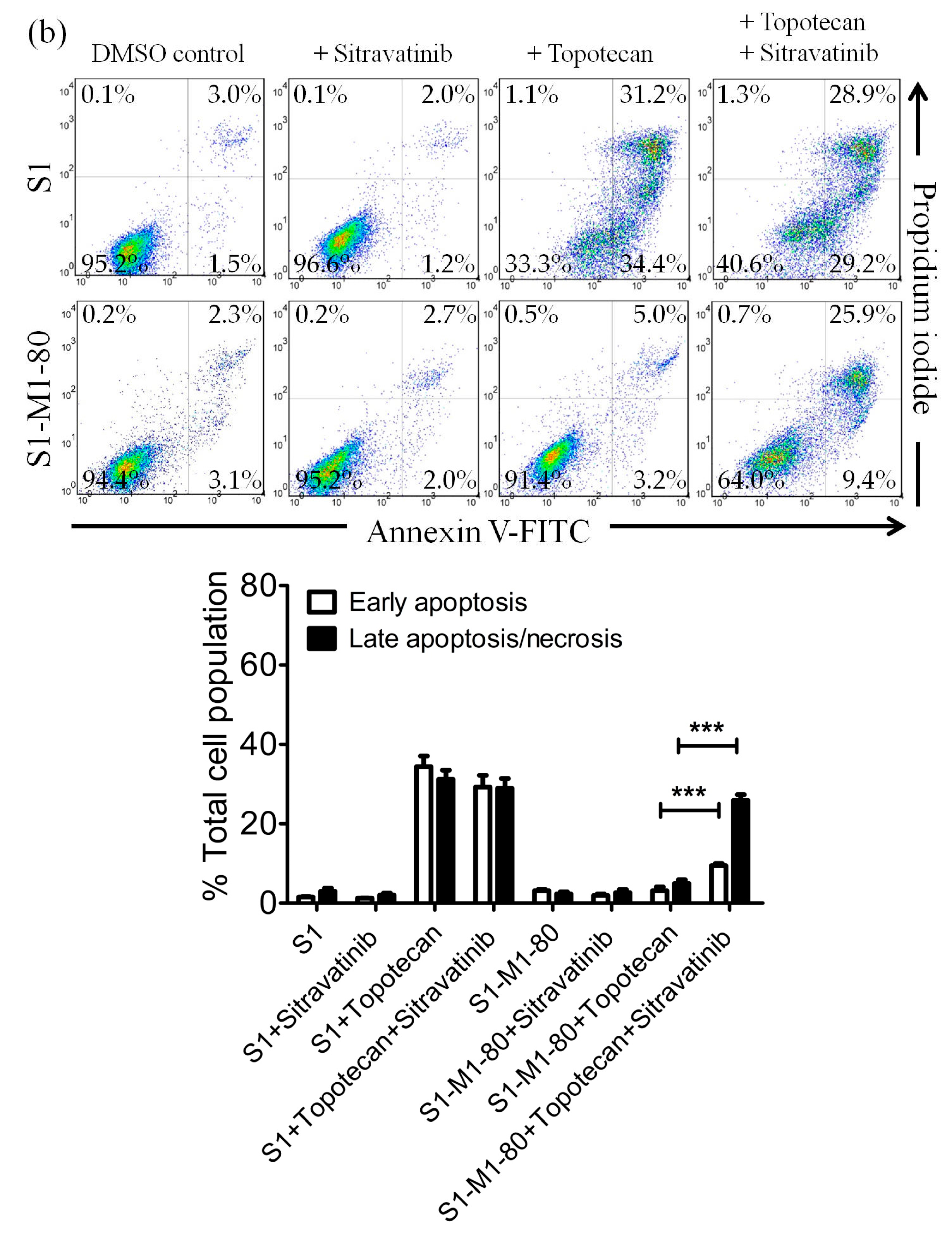 Cancers 12 00195 g003b Cancers 12 00195 g003b