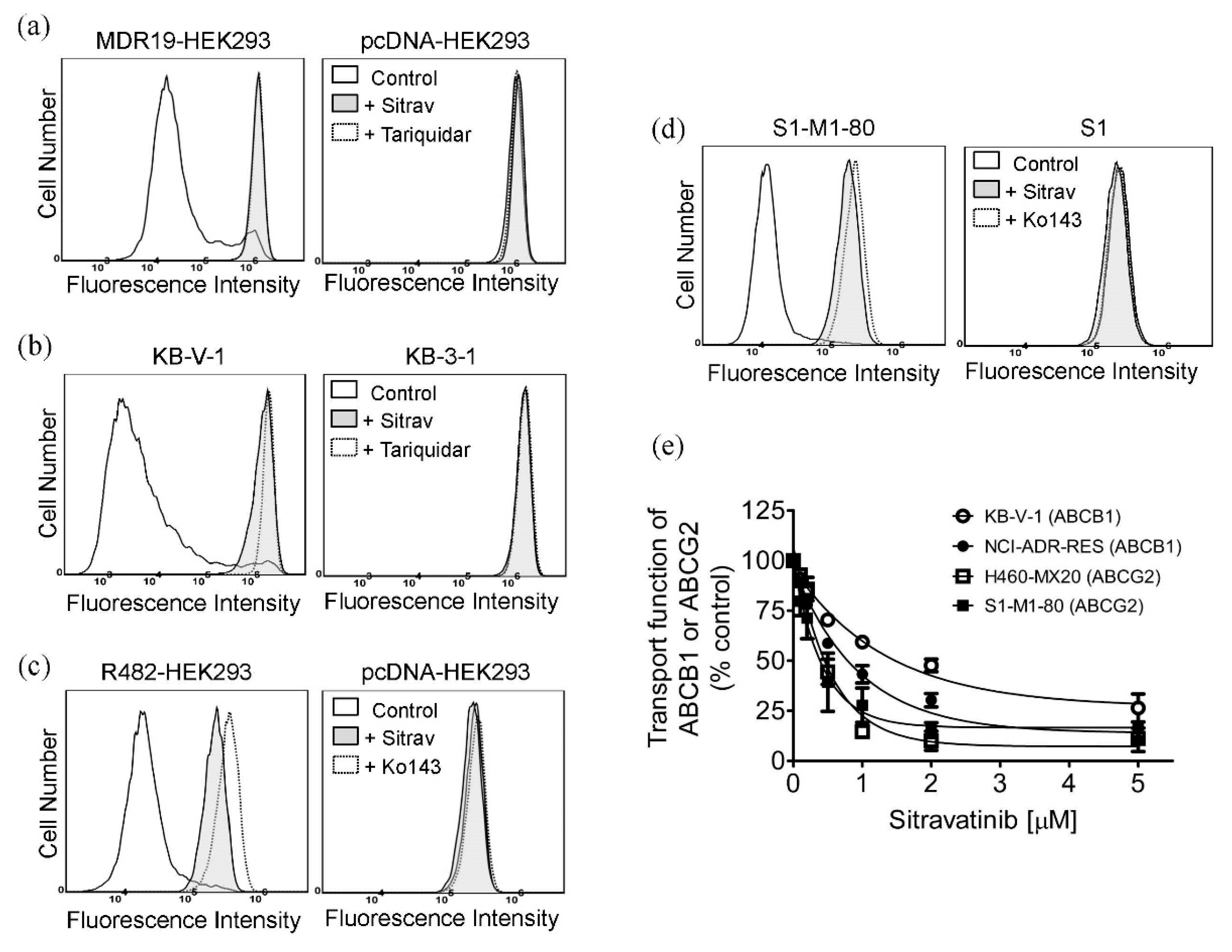 Cancers 12 00195 g004 Cancers 12 00195 g004