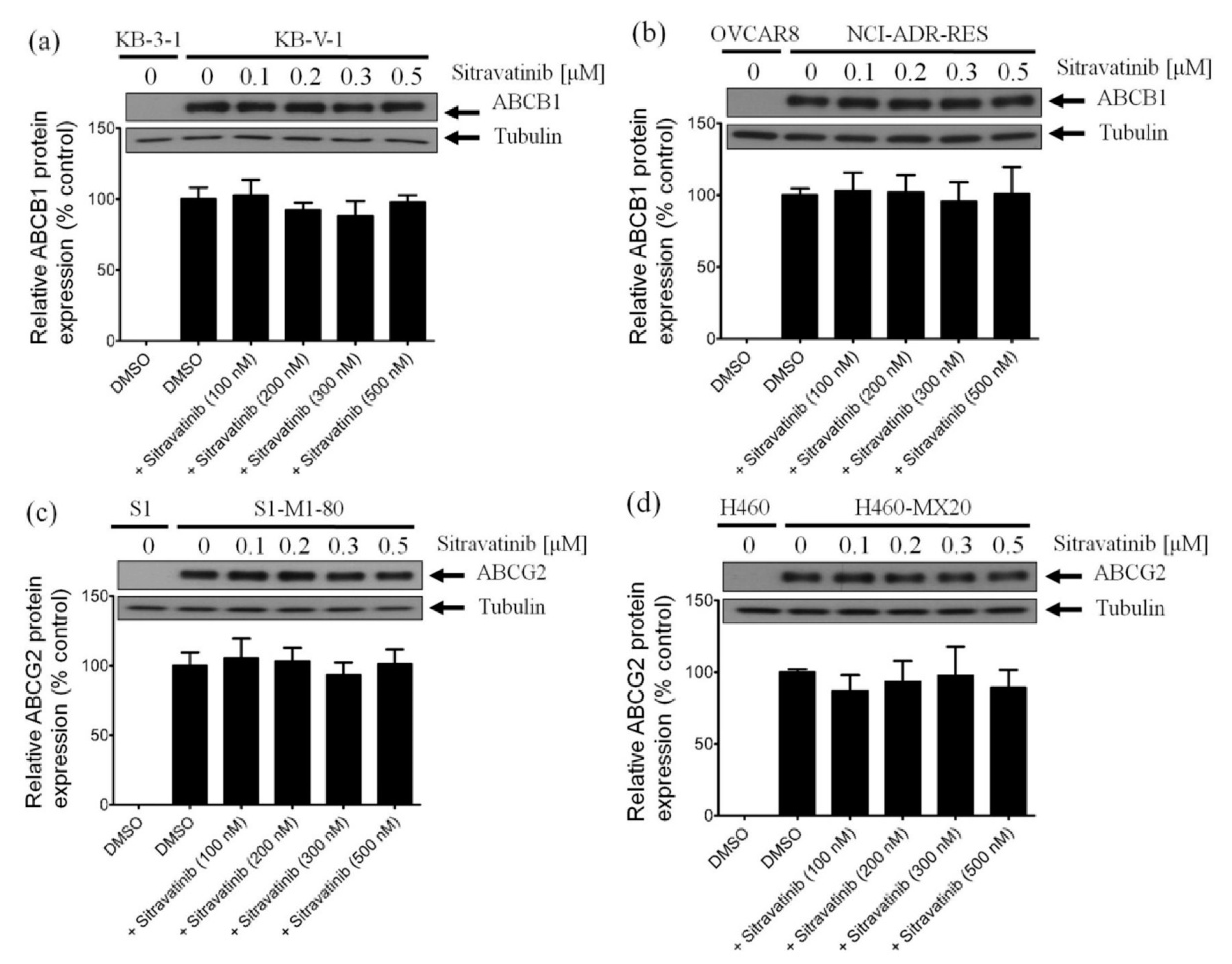 Cancers 12 00195 g005 Cancers 12 00195 g005