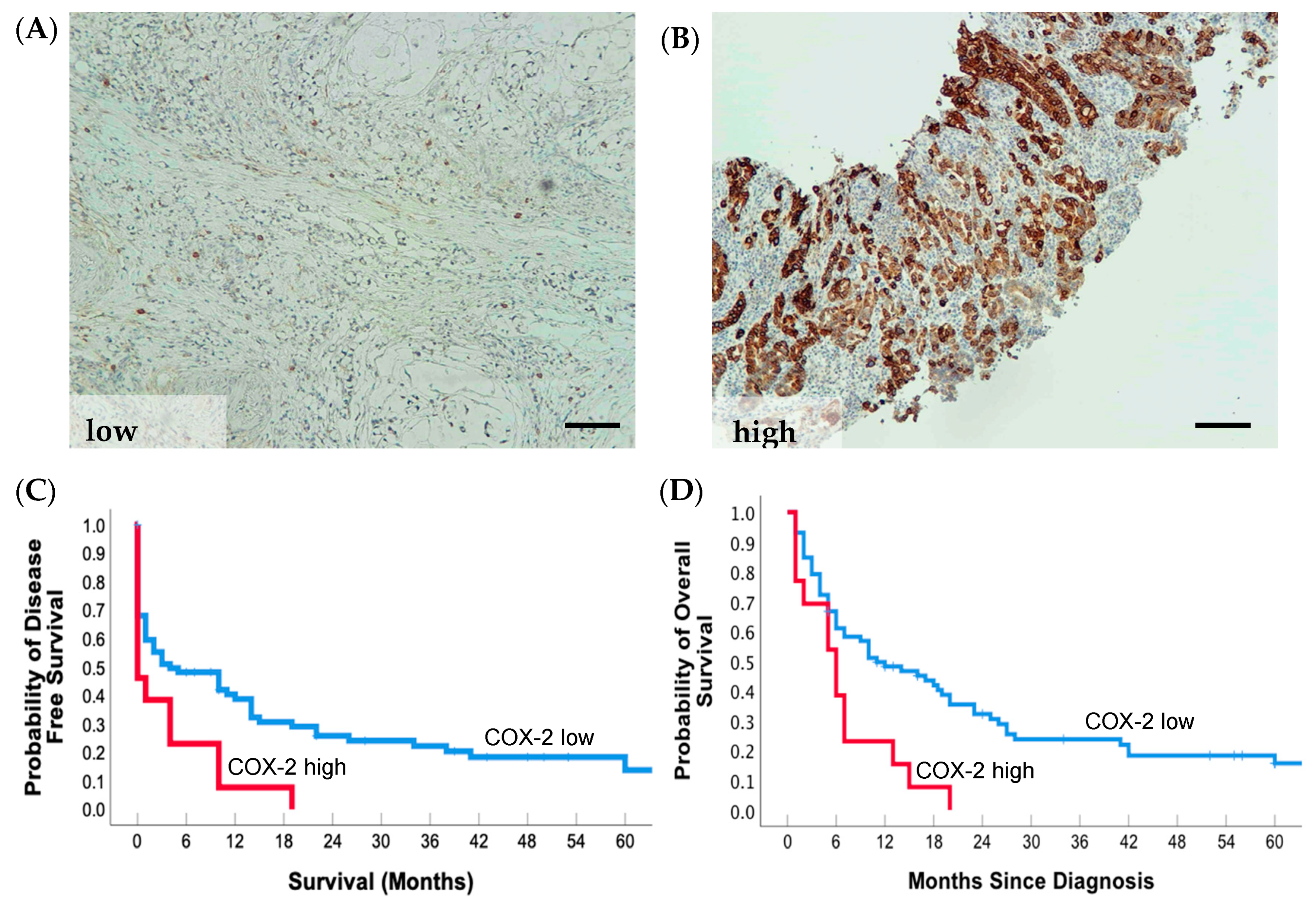 Cancers 12 00198 g003