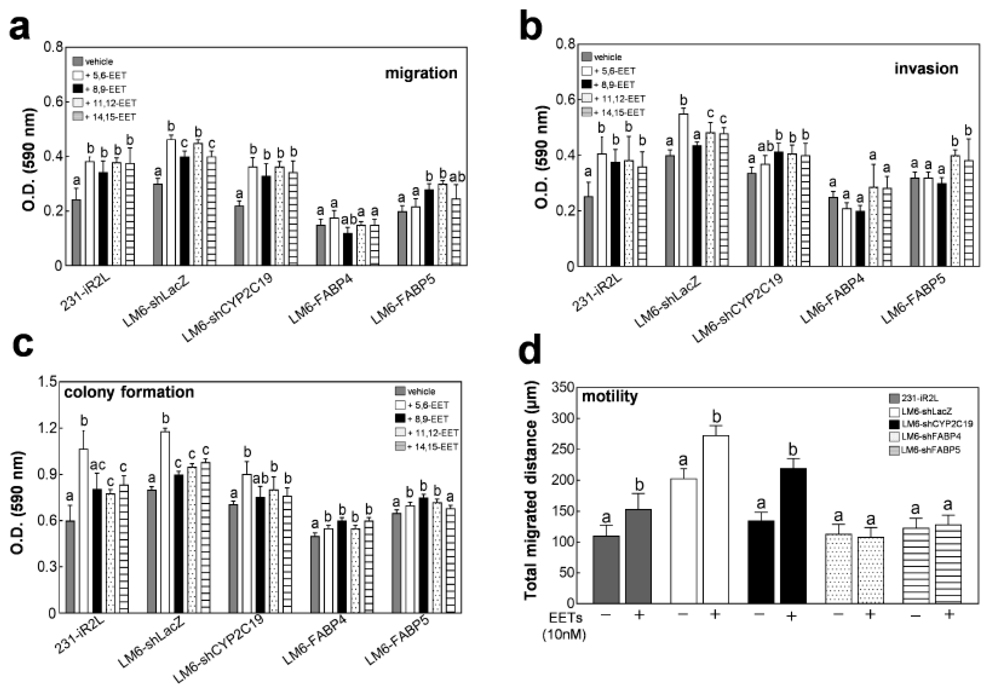 Cancers 12 00199 g003a