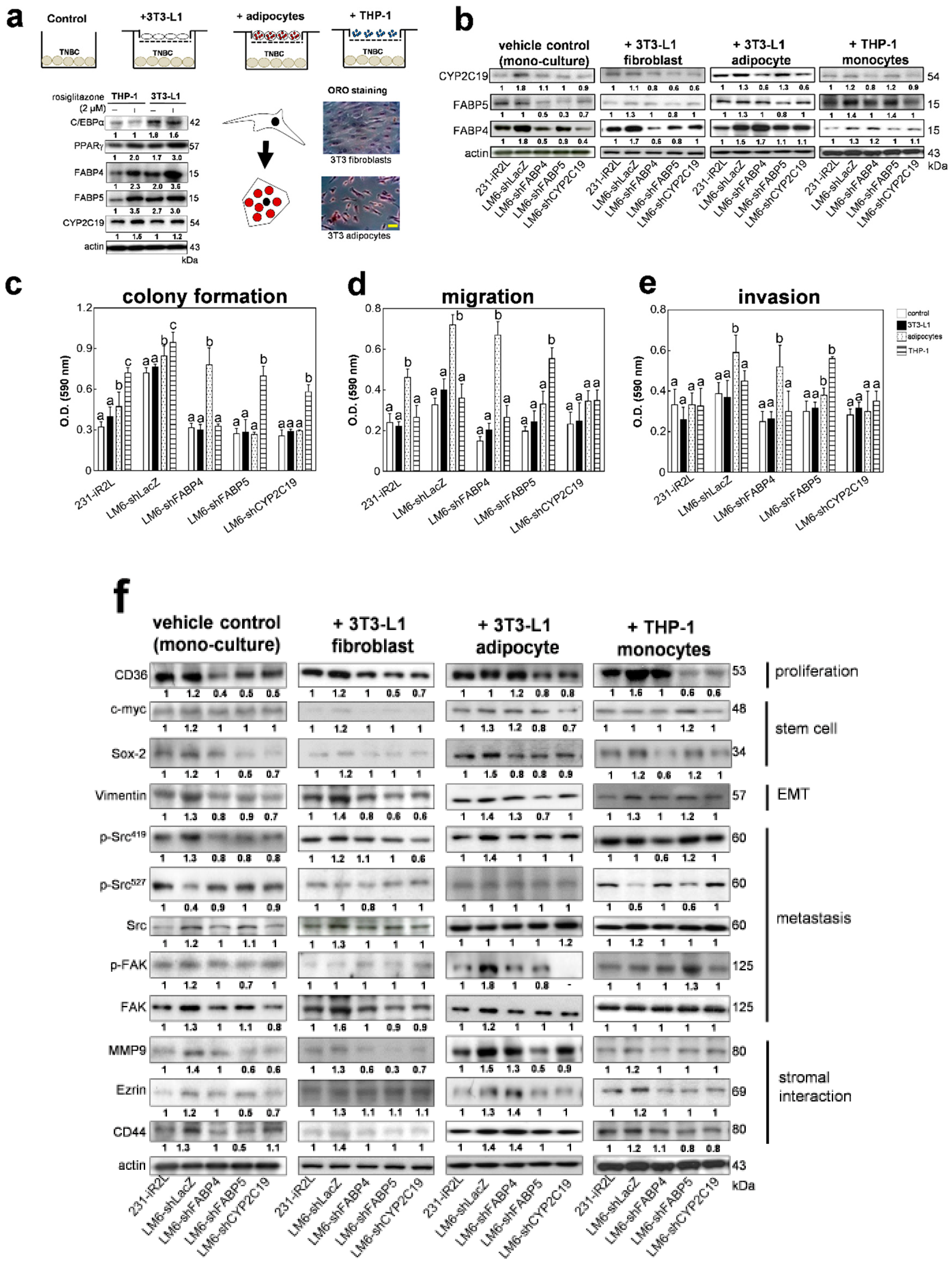 Cancers 12 00199 g004