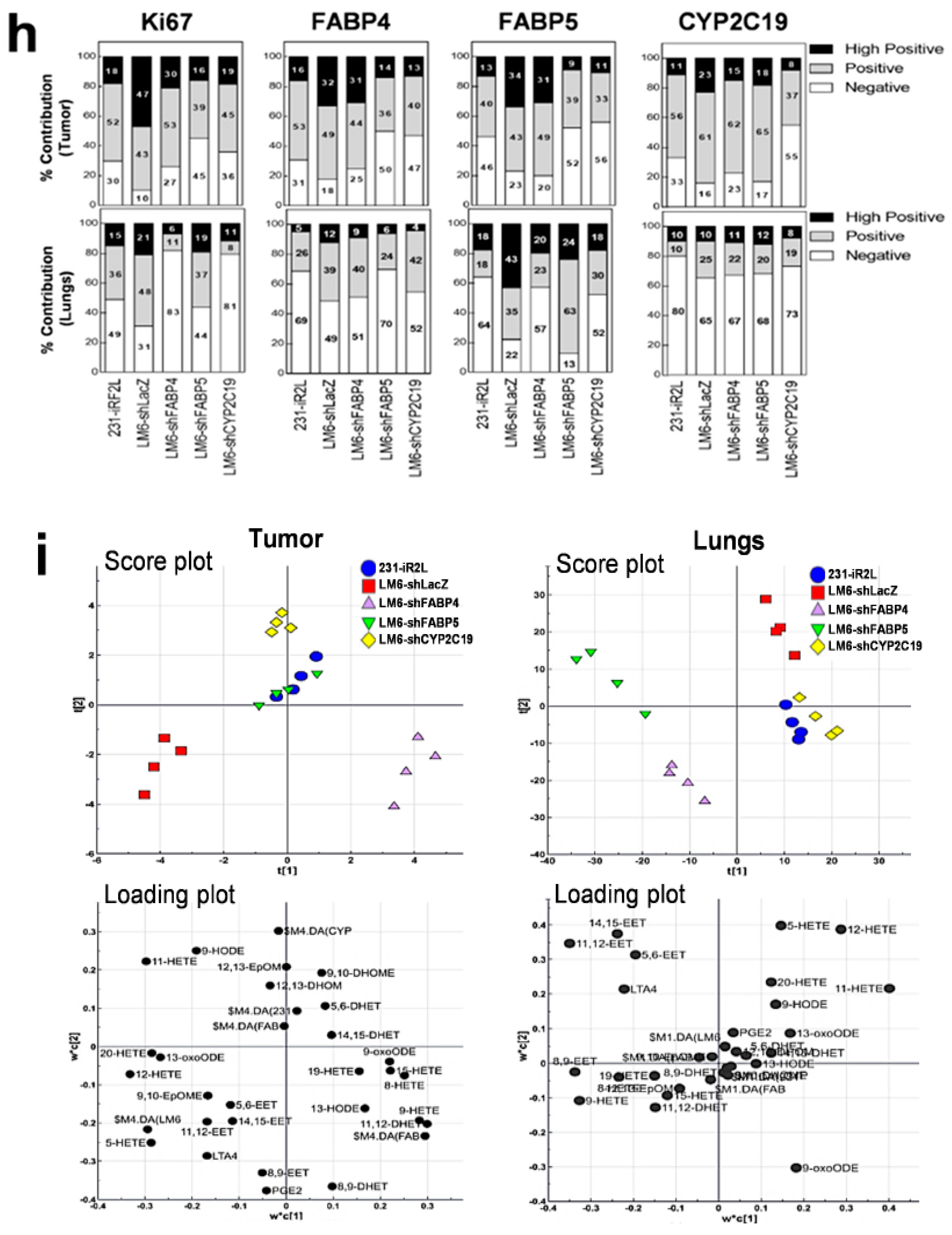 Cancers 12 00199 g005b