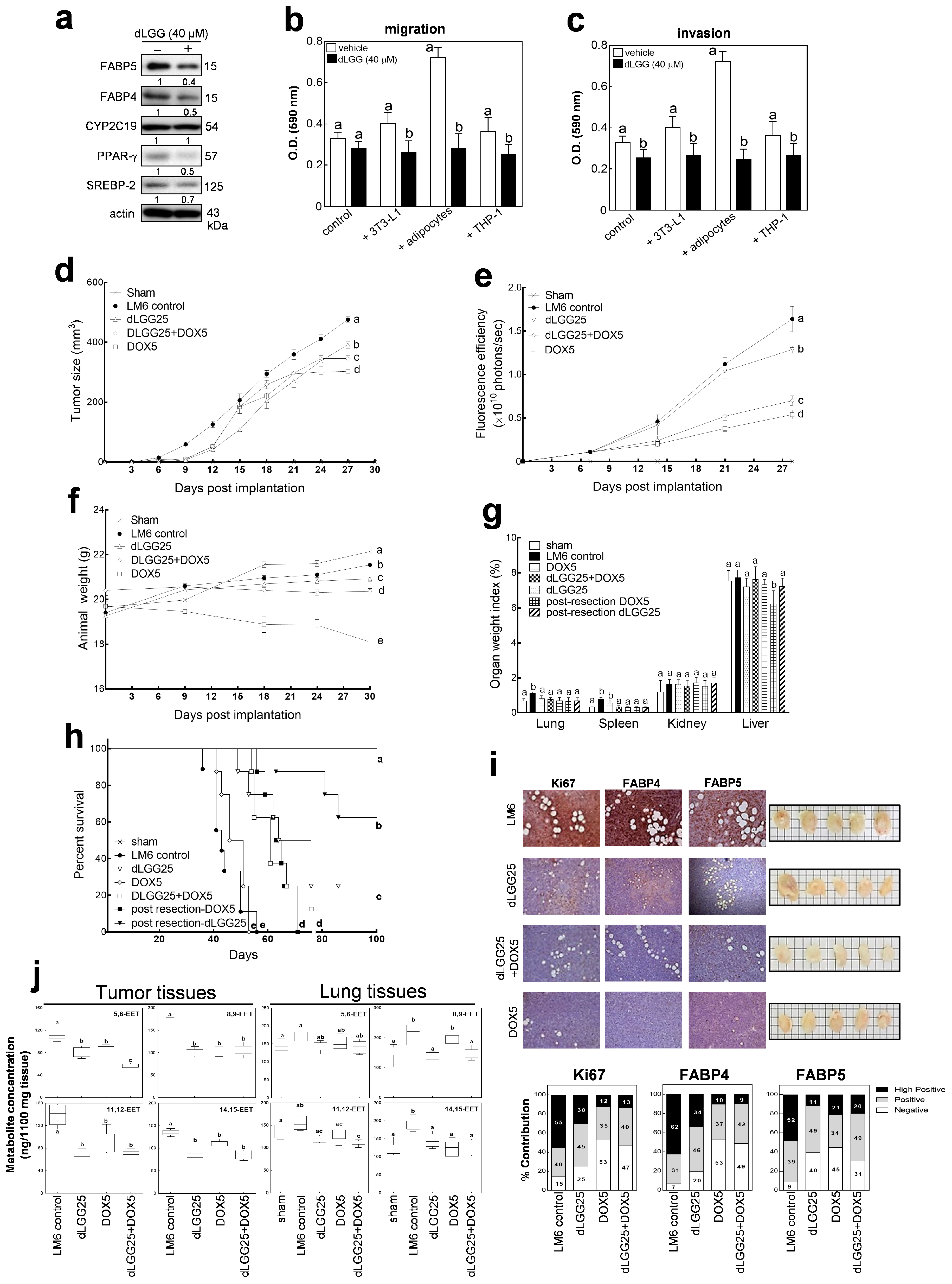 Cancers 12 00199 g007