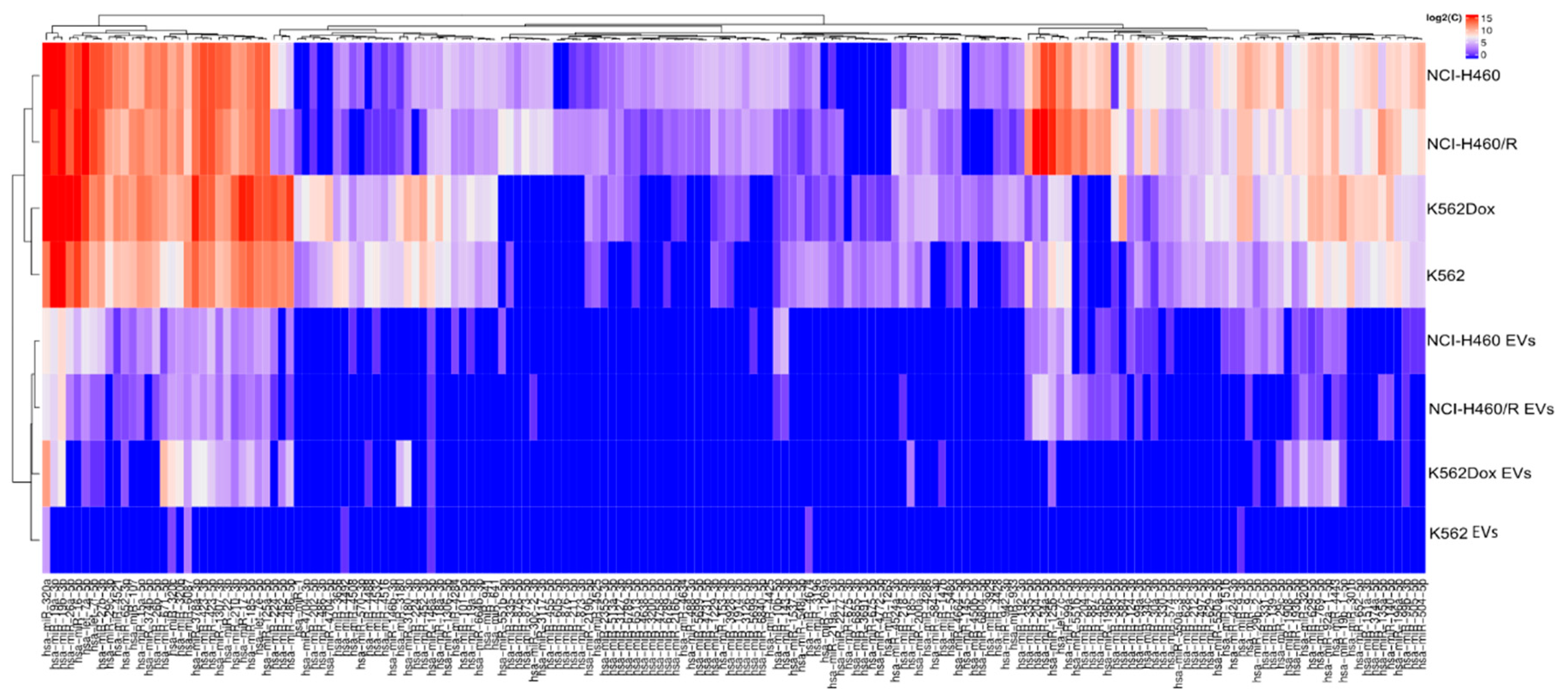 Cancers 12 00200 g008 Cancers 12 00200 g008