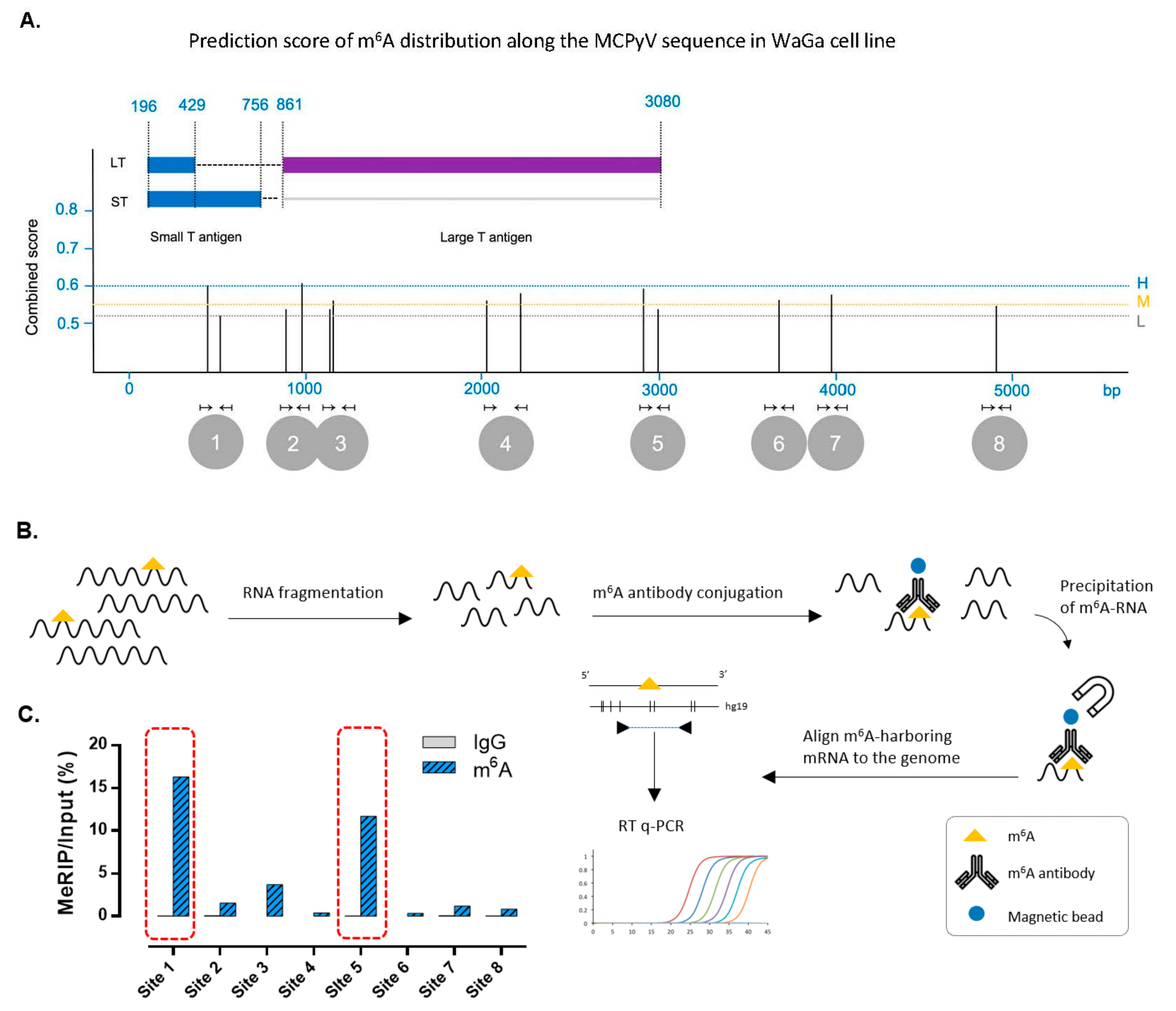 Cancers 12 00202 g003