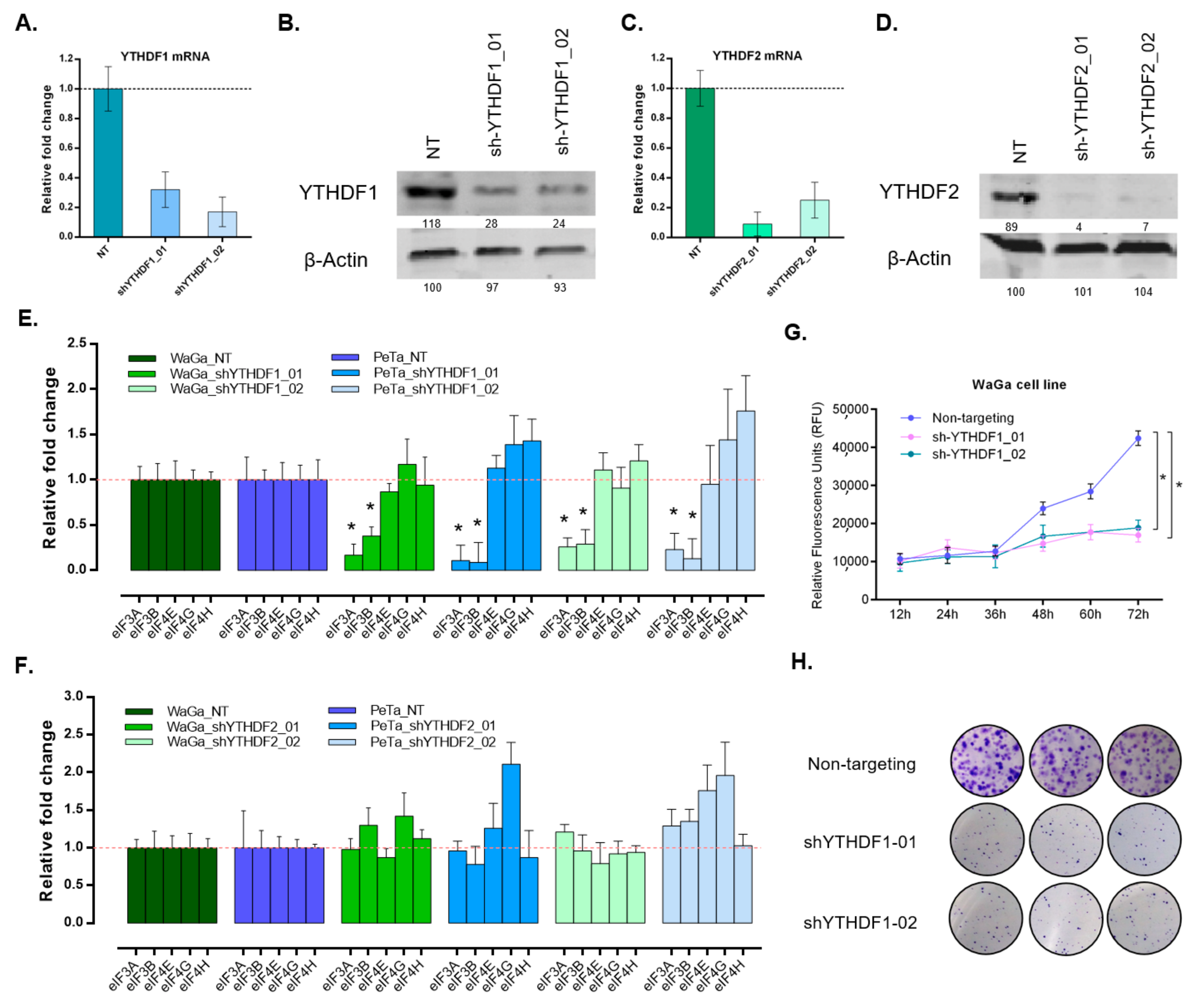 Cancers 12 00202 g004