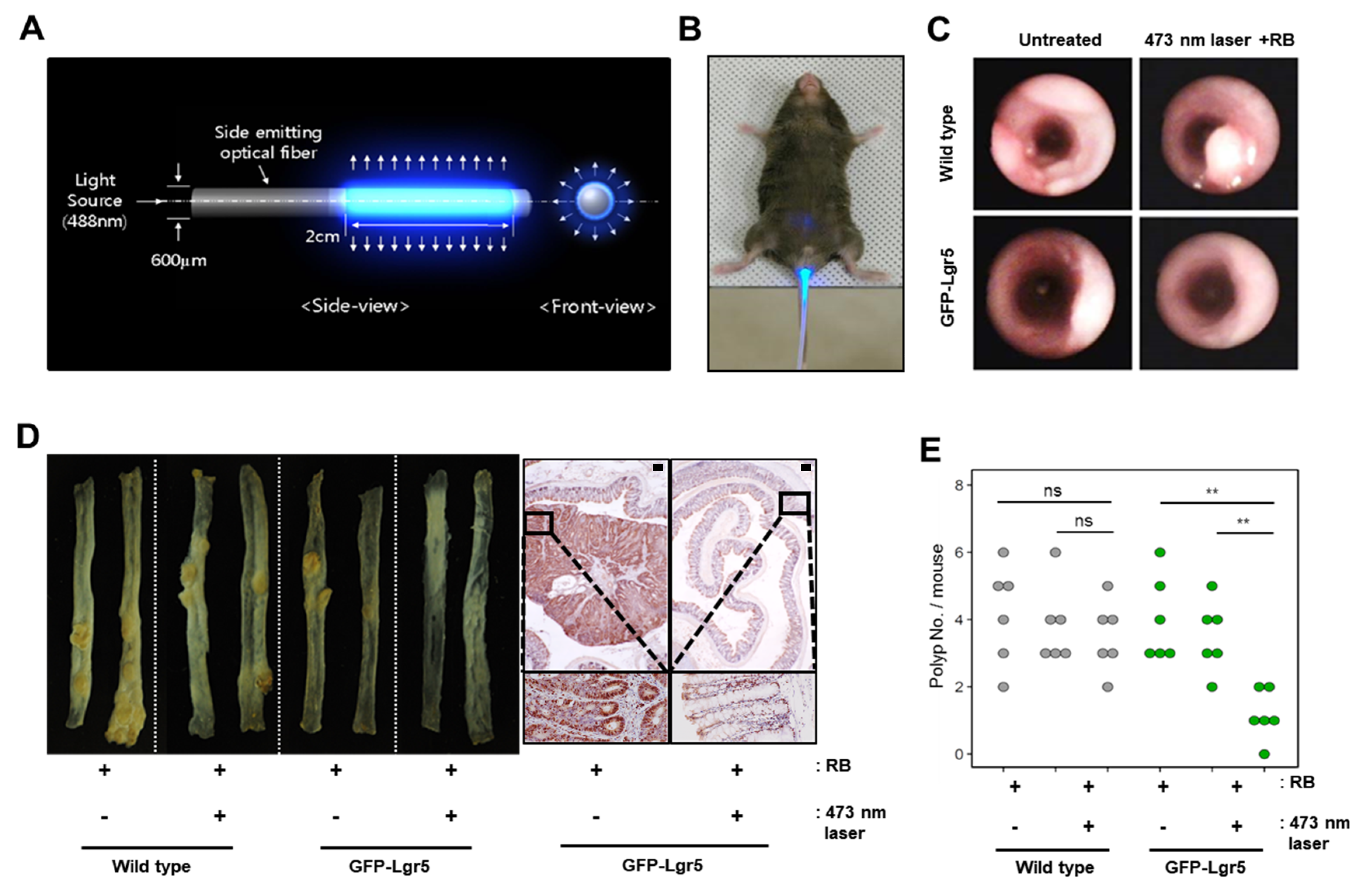 Cancers 12 00203 g003