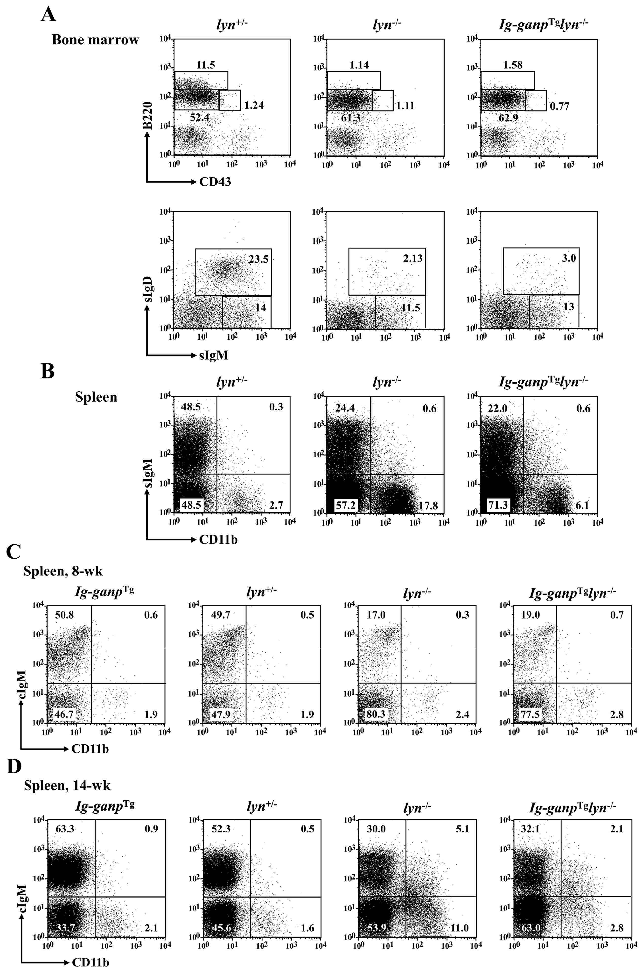 Cancers 12 00204 g002 Cancers 12 00204 g002