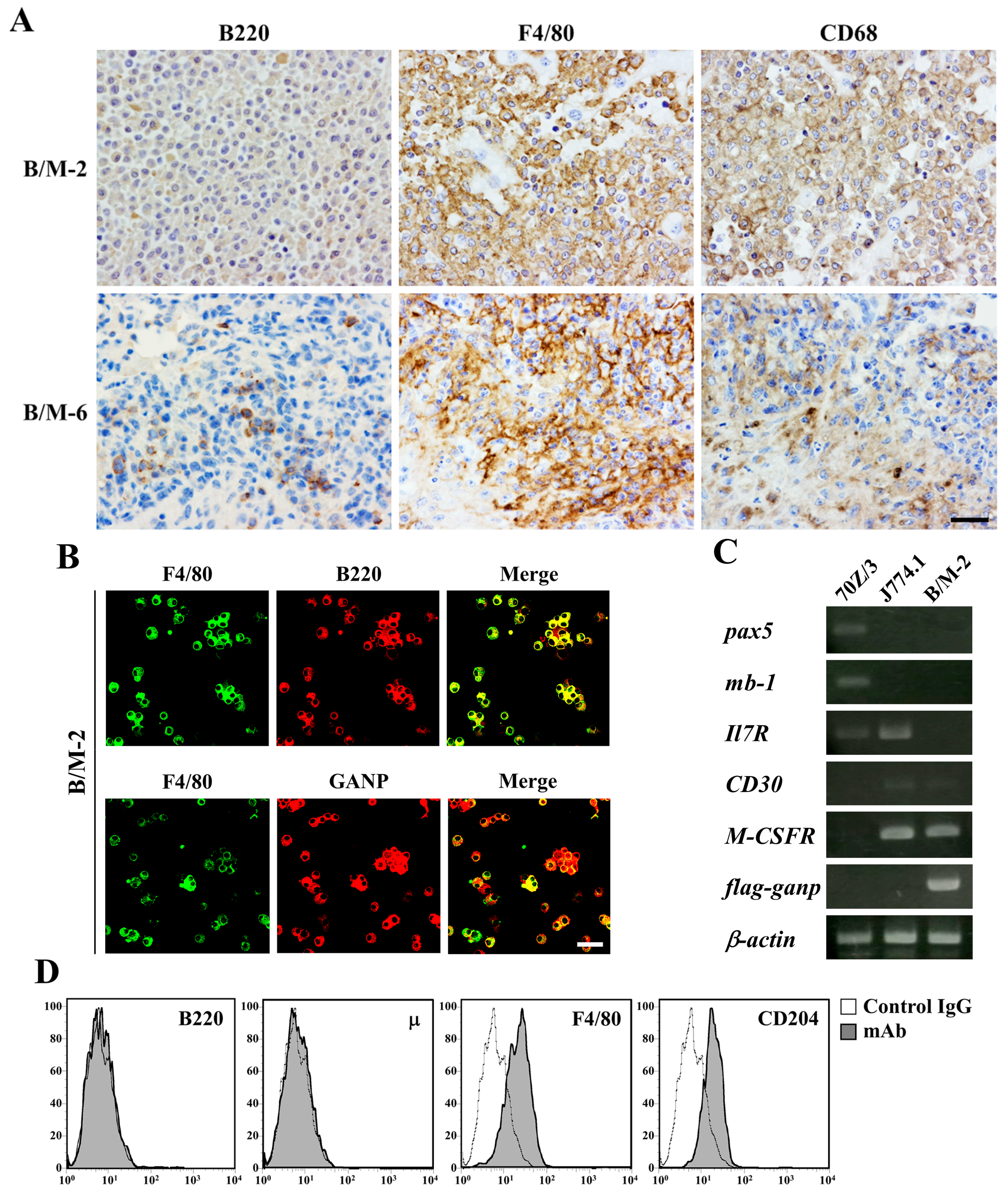 Cancers 12 00204 g003 Cancers 12 00204 g003