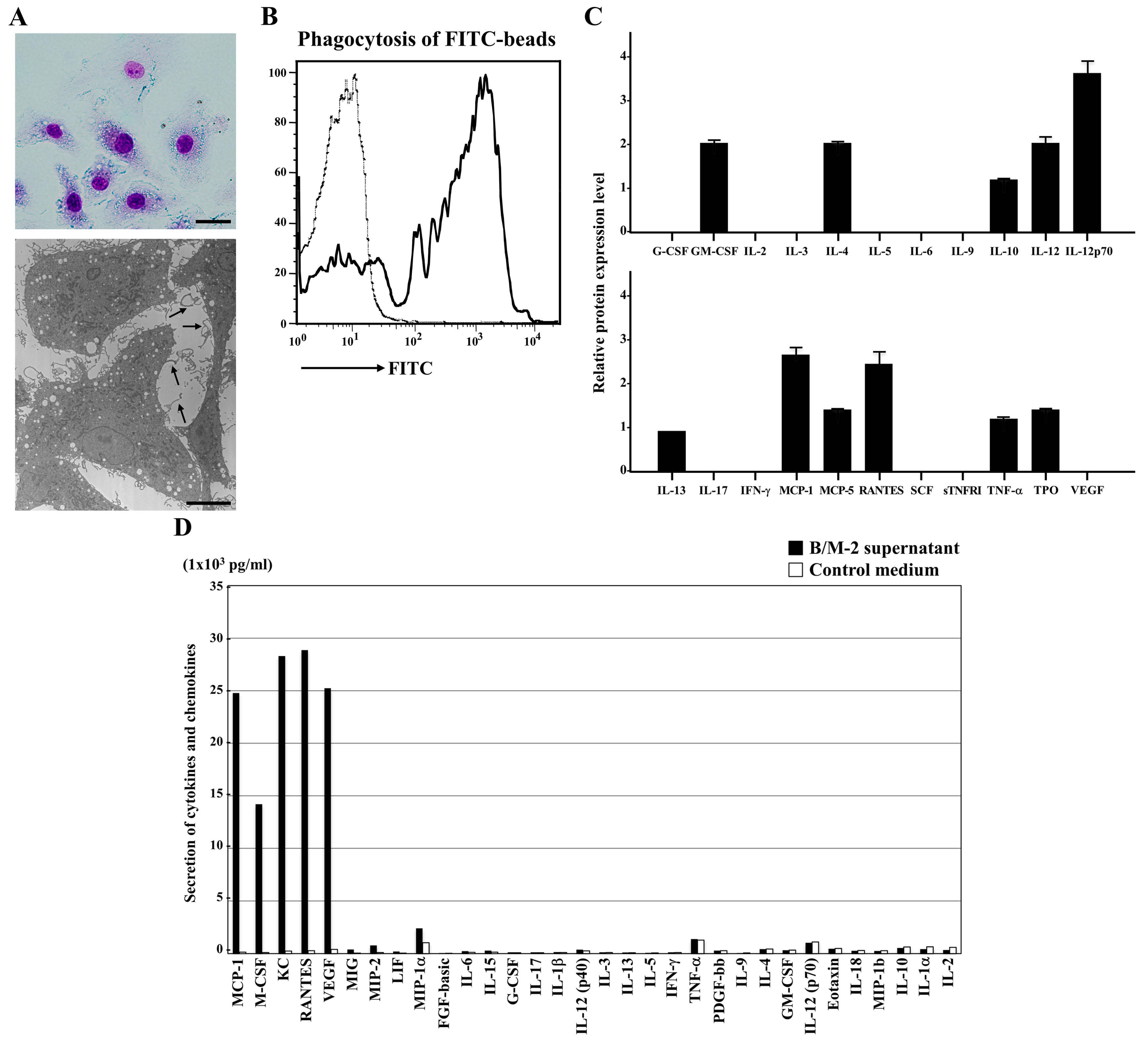 Cancers 12 00204 g004 Cancers 12 00204 g004