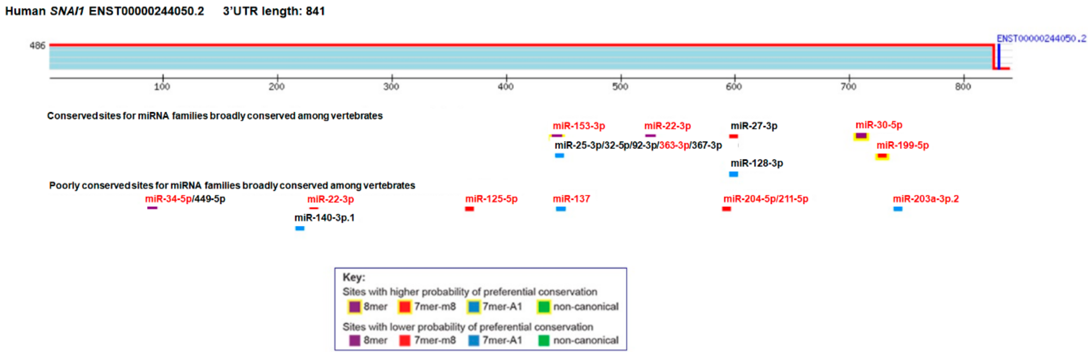 Cancers 12 00209 g002 Cancers 12 00209 g002