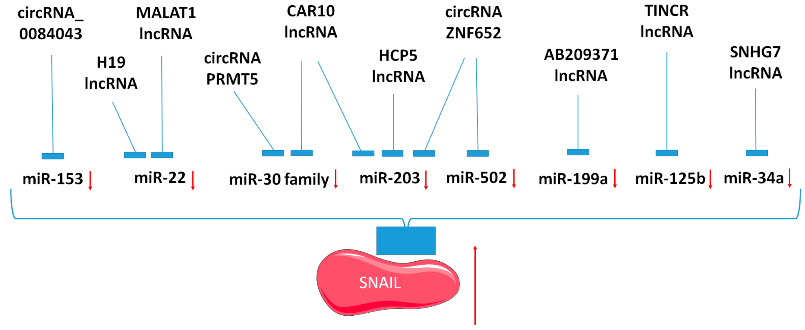 Cancers 12 00209 g003 Cancers 12 00209 g003