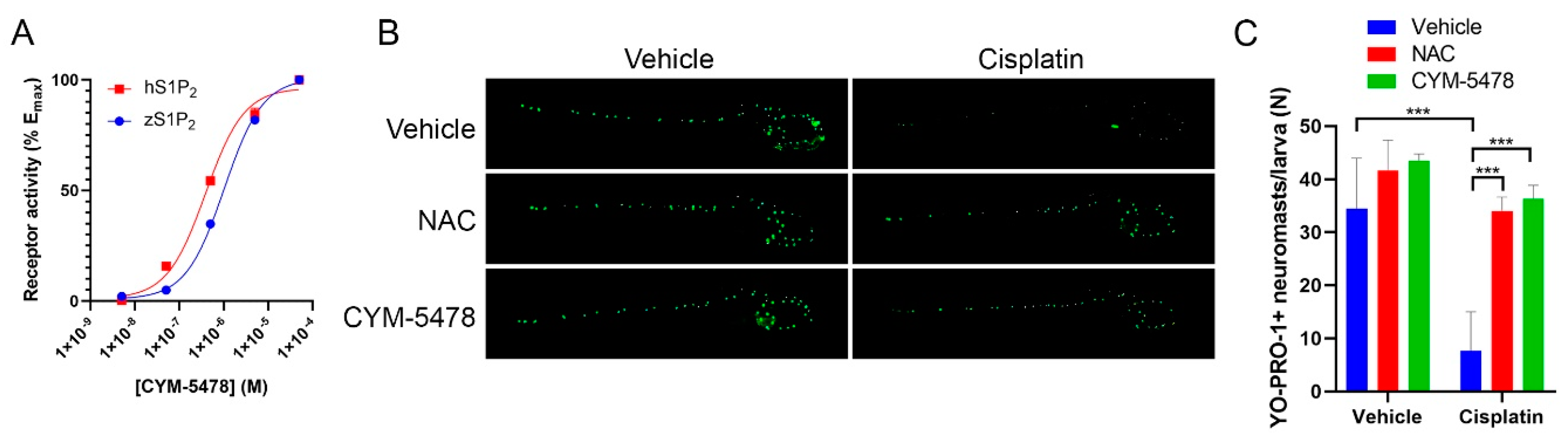 Cancers 12 00211 g003