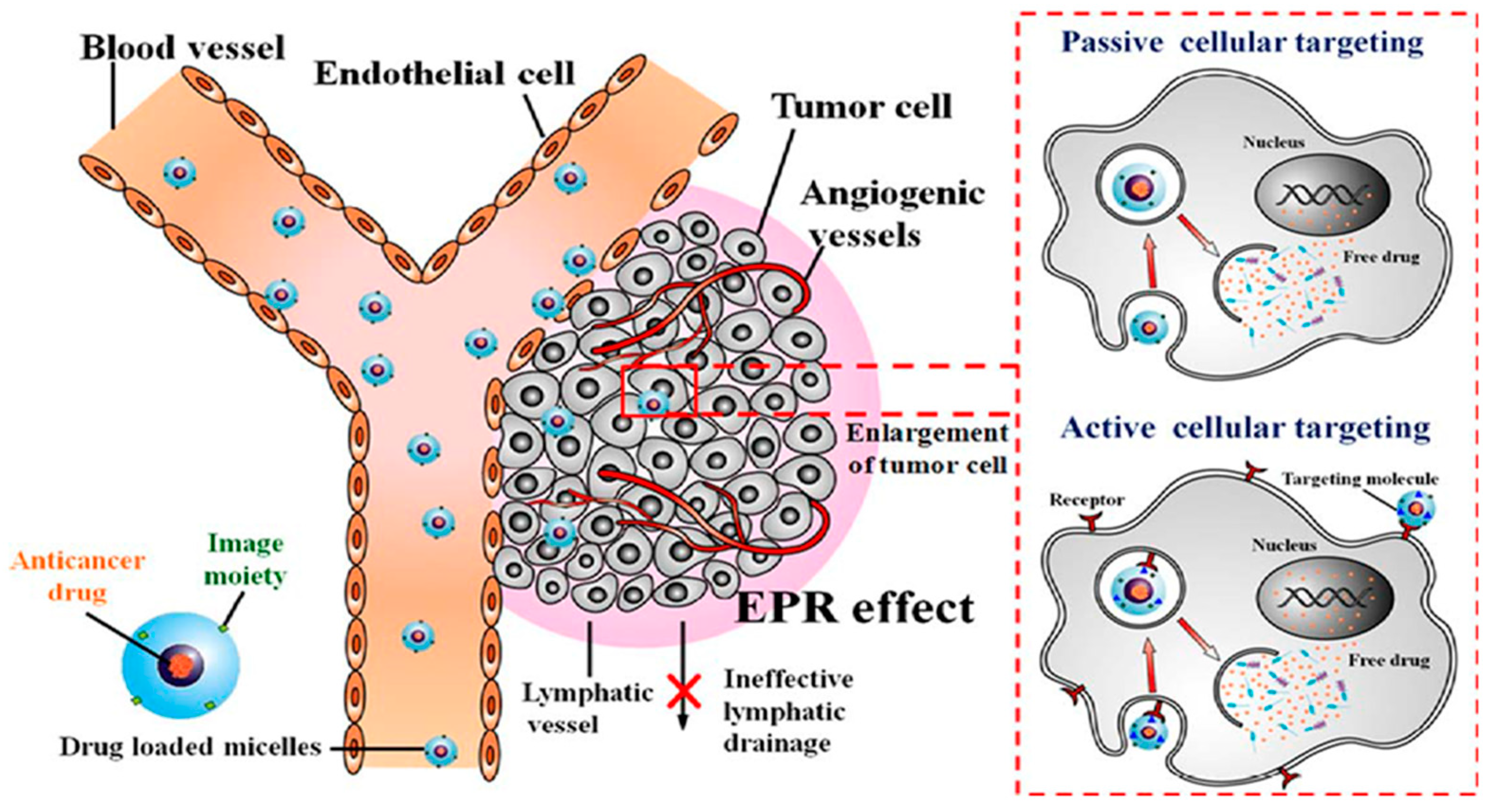 Cancers 12 00213 g006 Cancers 12 00213 g006