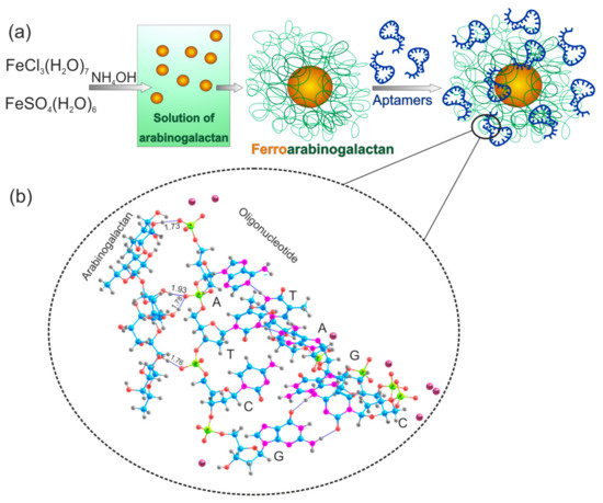 Aptamer-Conjugated Superparamagnetic Ferroarabinogalactan